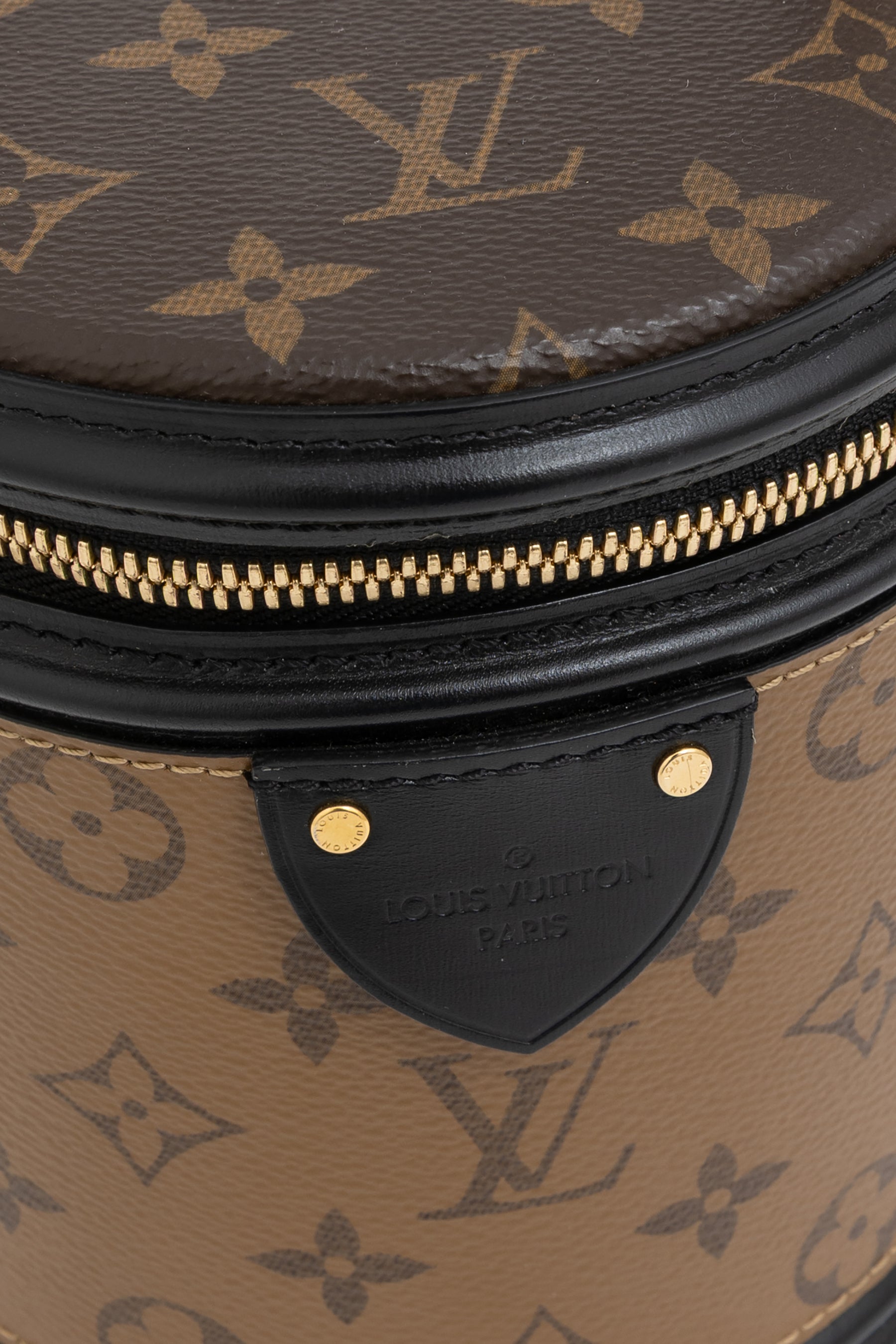 Canvas Reverse Monogram Cannes Bag