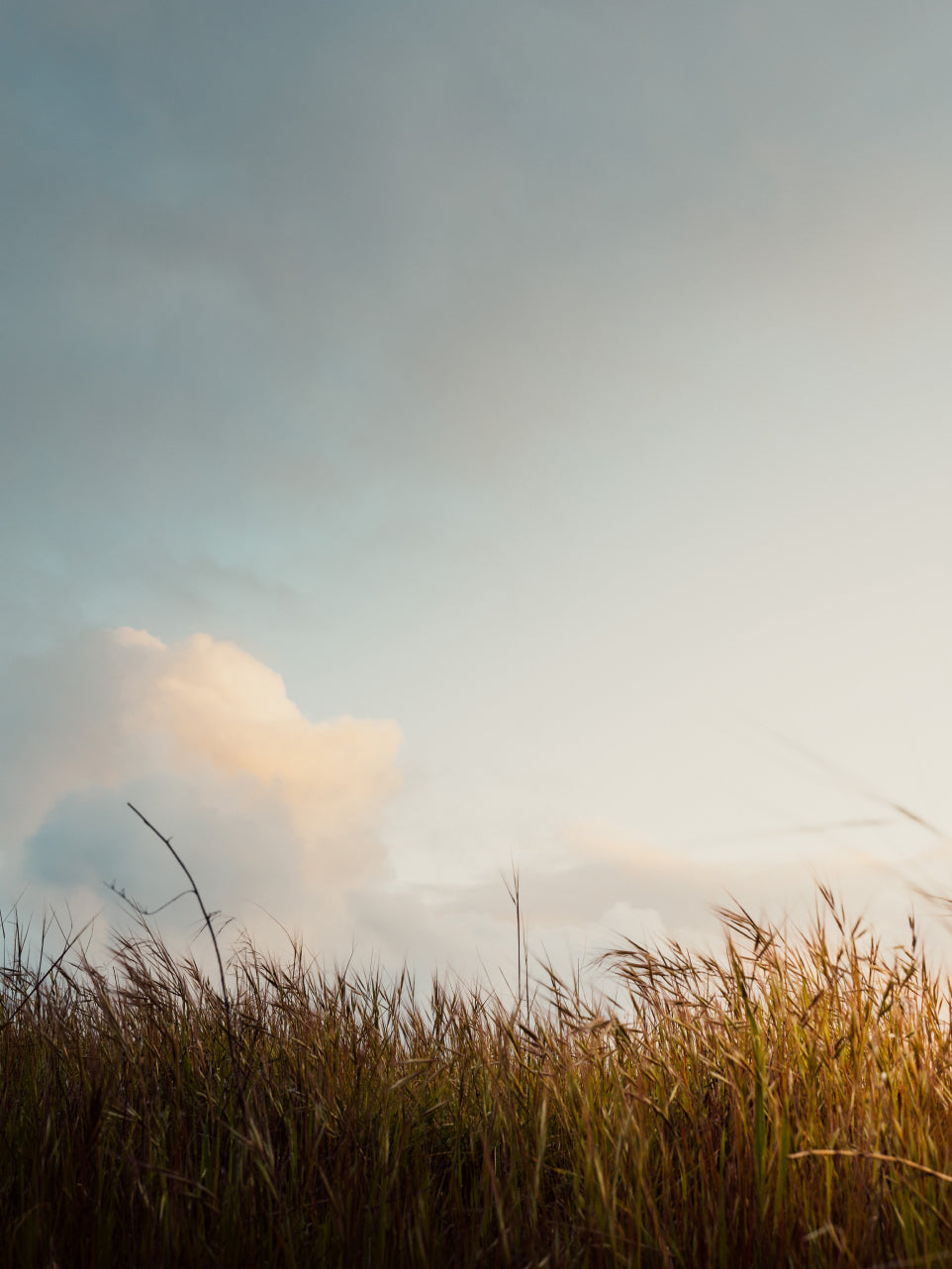 Building a Sustainable Future