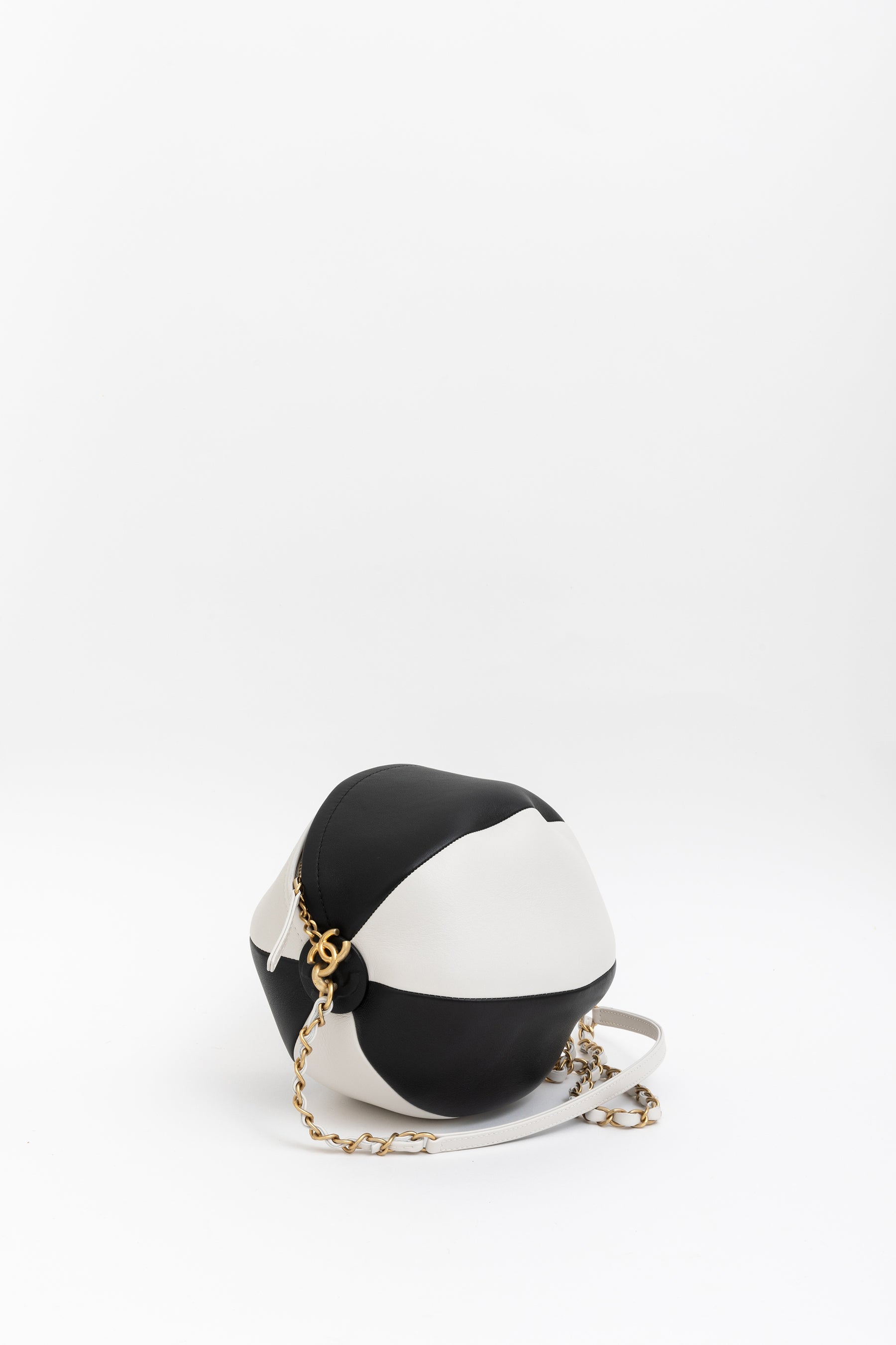 Beach Ball Bag