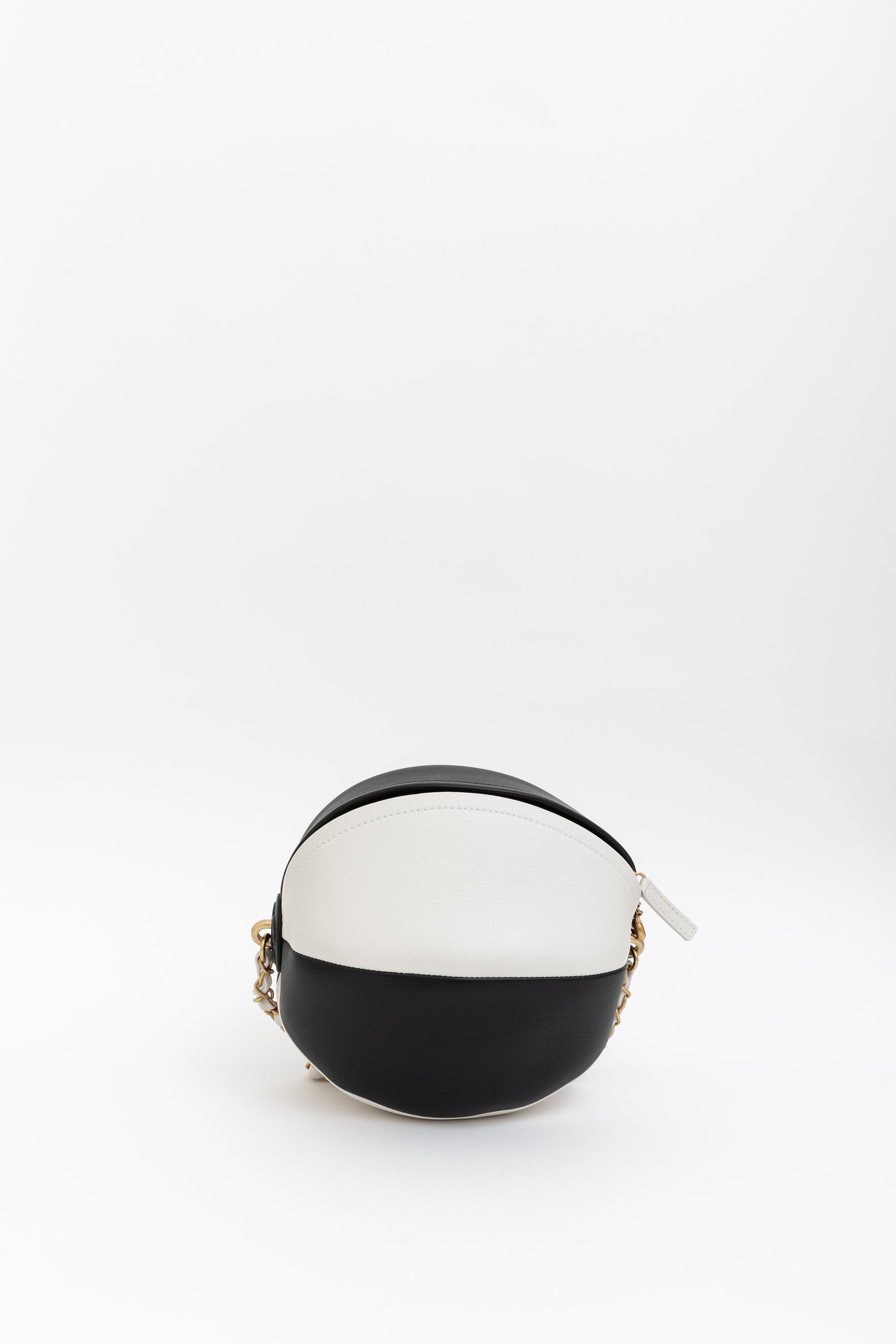 Beach Ball Bag