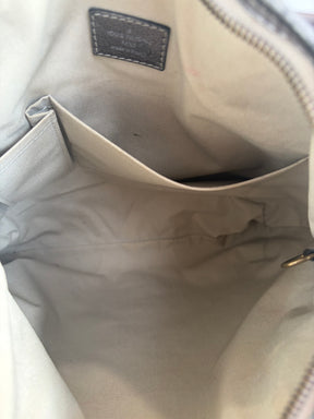 Louis Vuitton Grey and Silver Platine Monogram Mini Lin Bersace Bag