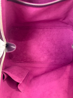 Louis Vuitton Aubergine Epi Leather Alma Bag MM