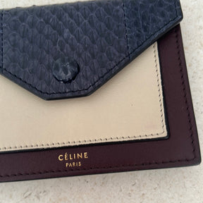 Céline Python Envelope Purse in Maroon and Navy