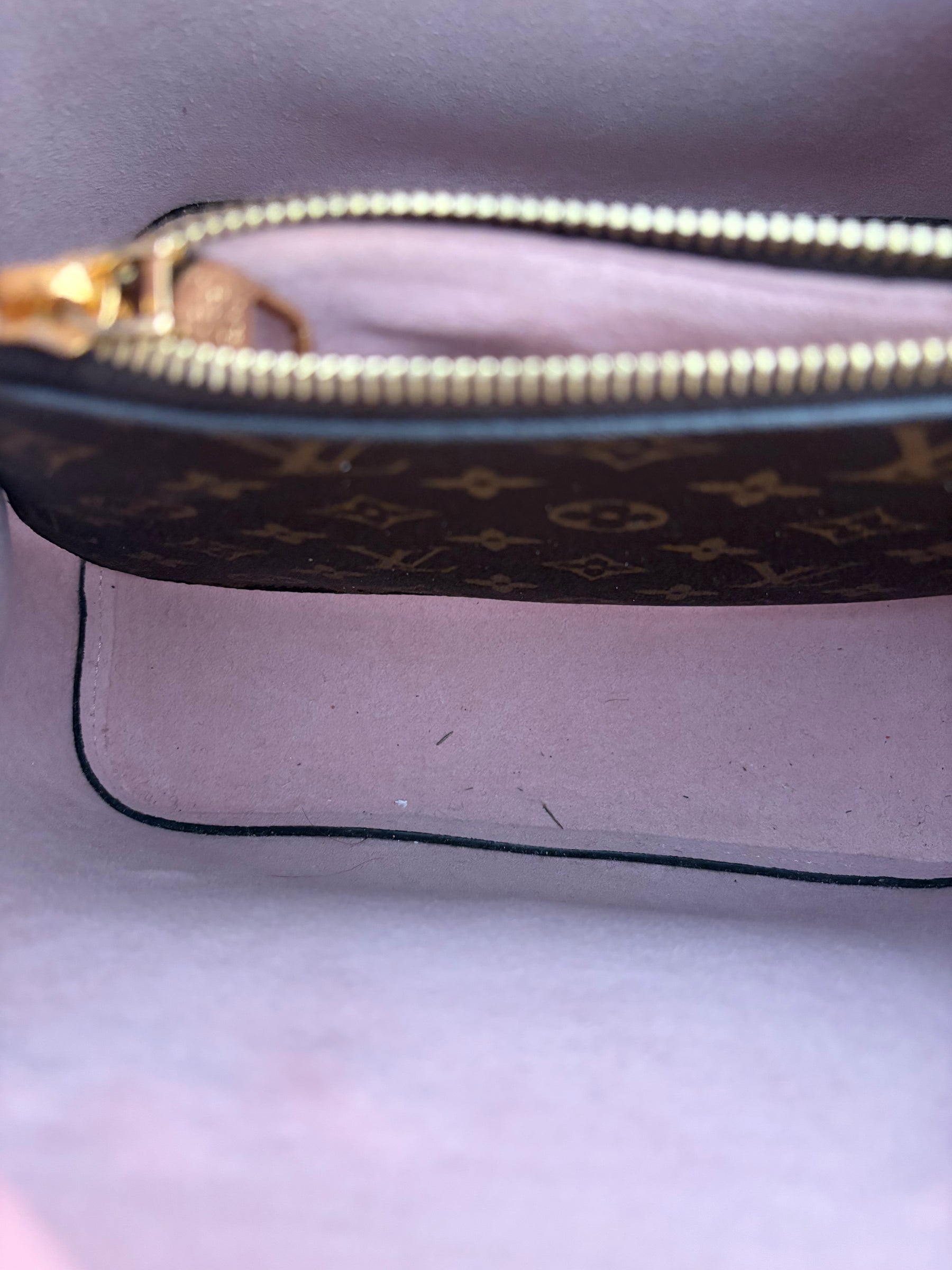 Louis Vuitton Canvas Monogram and Pink Leather Neonoé Bucket Bag