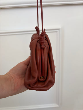 Bottega Veneta Mini Pouch Bag In Brick Red