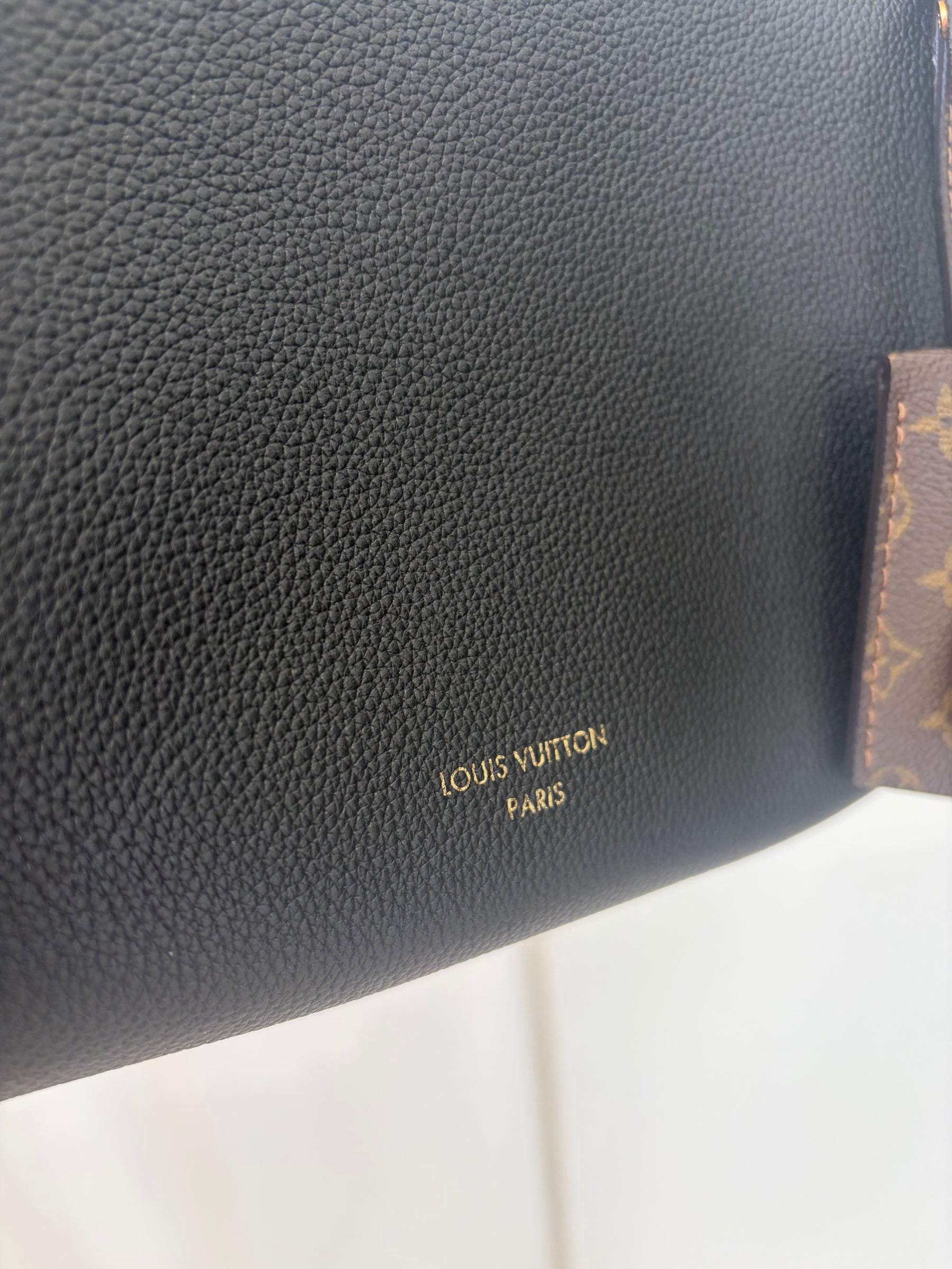 Louis Vuitton Monogram Express MM Bag