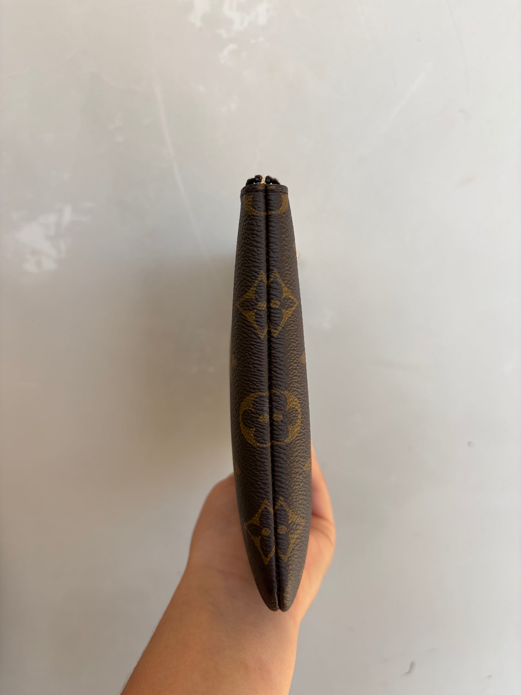 Louis Vuitton Canvas Monogram Pouch