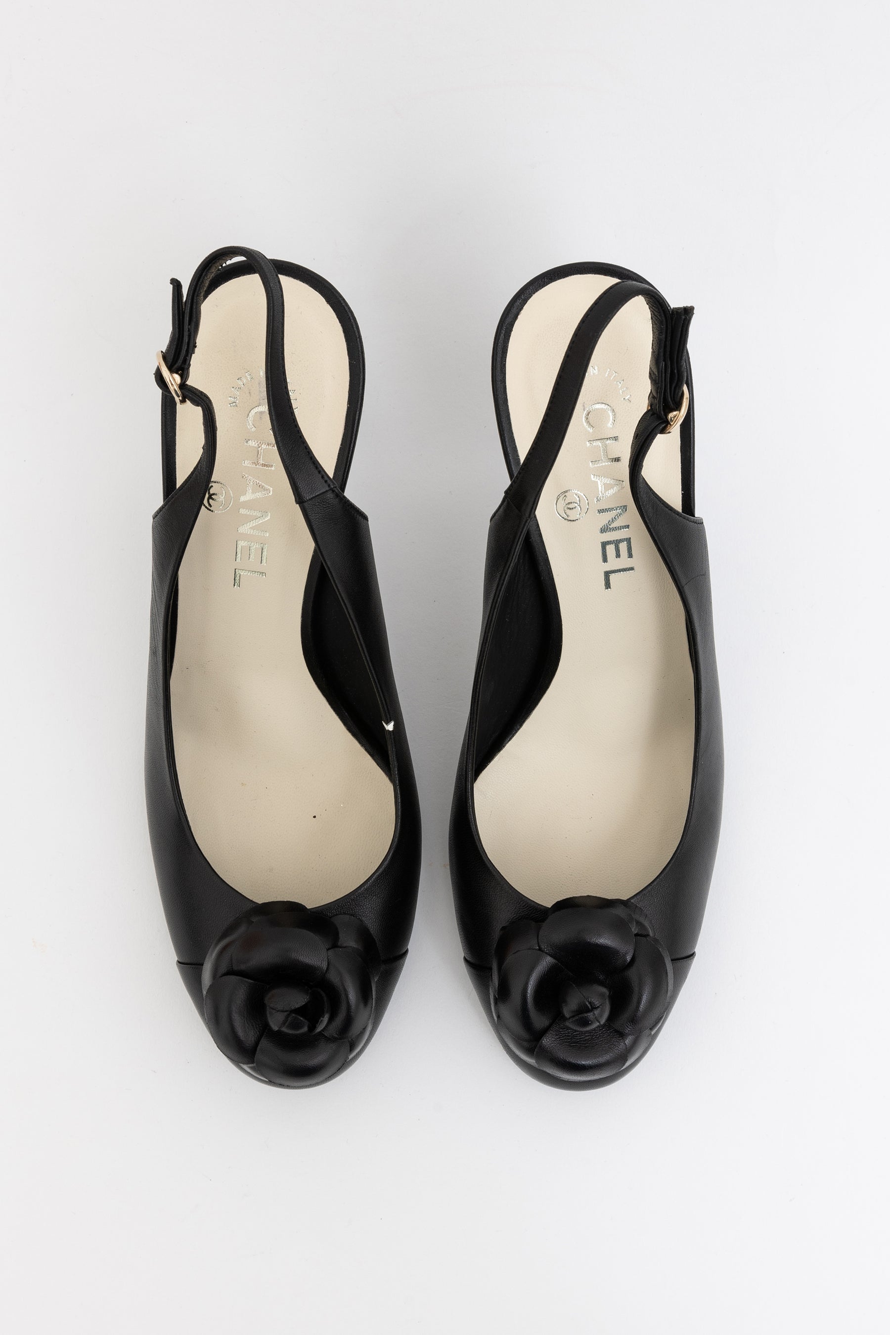 Camelia Slingbacks