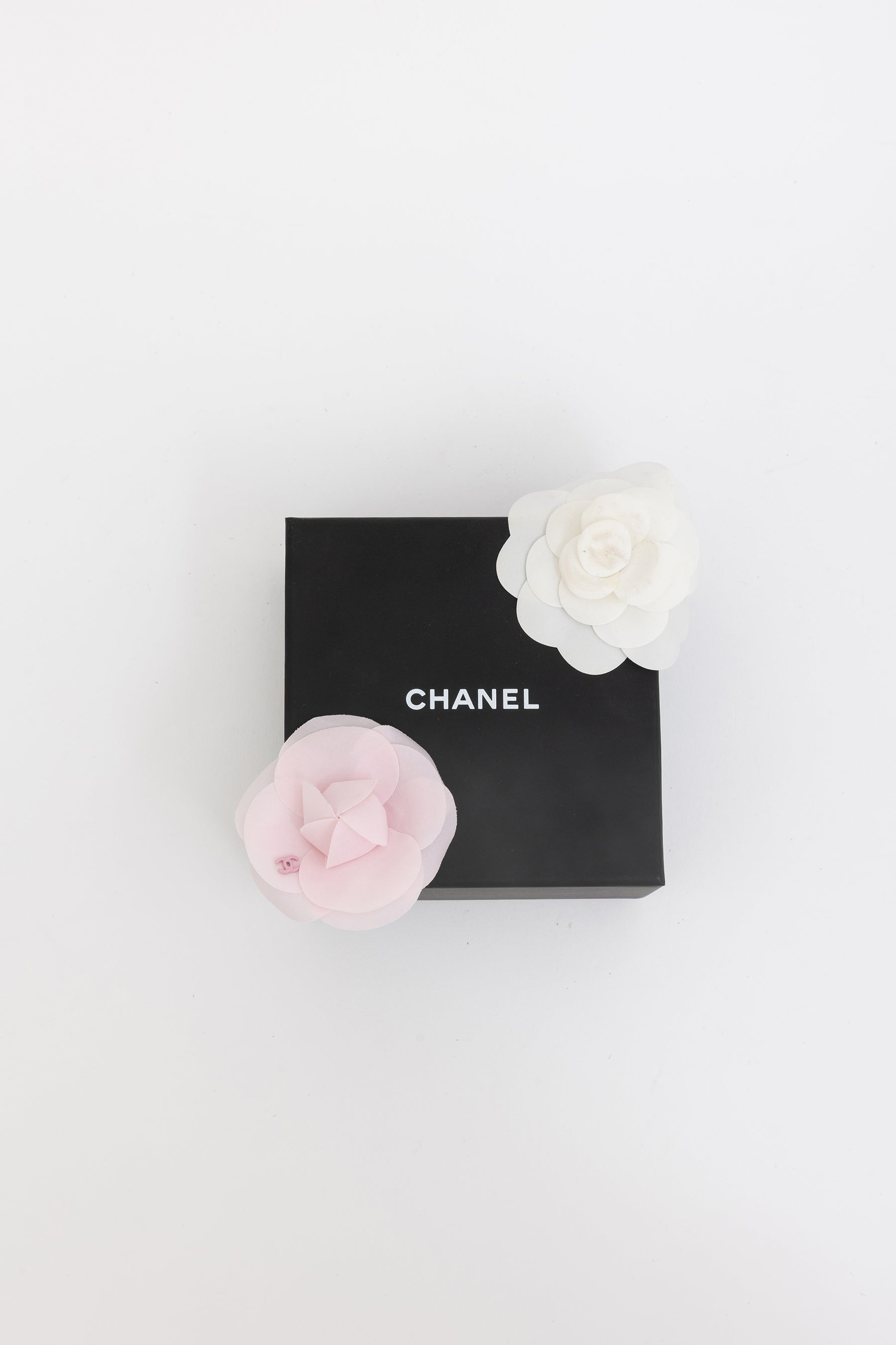 Camellia Brooch