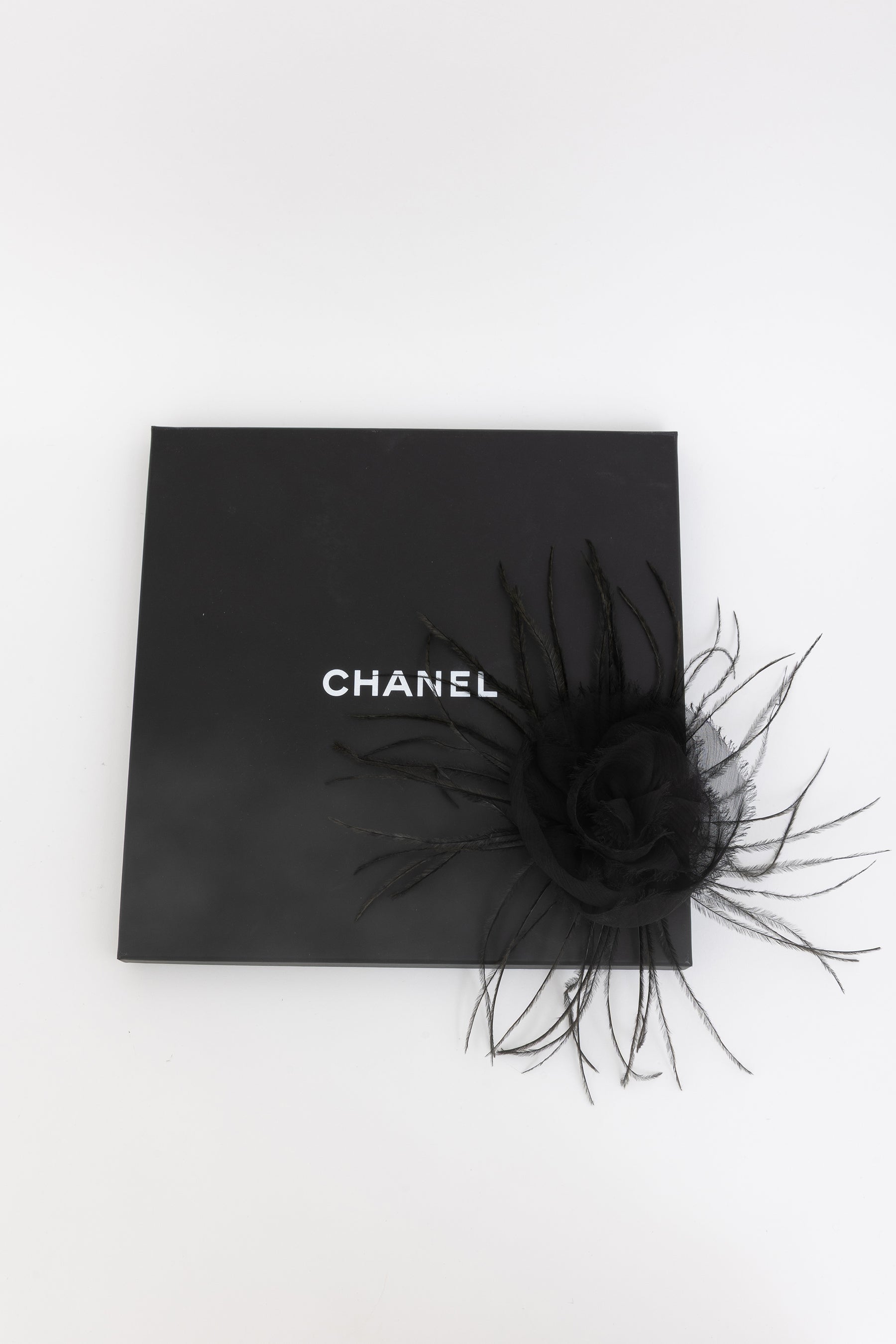 Camellia Feather Brooch