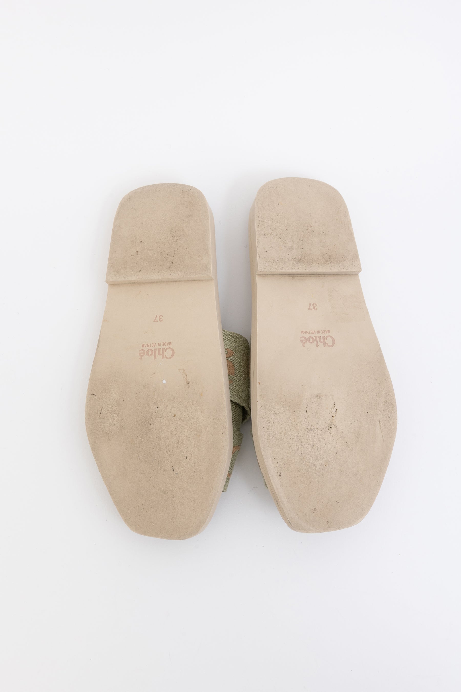 Chloé Leaf Green Woody Slides, 37