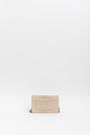 Iridescent Caviar Leather WOC