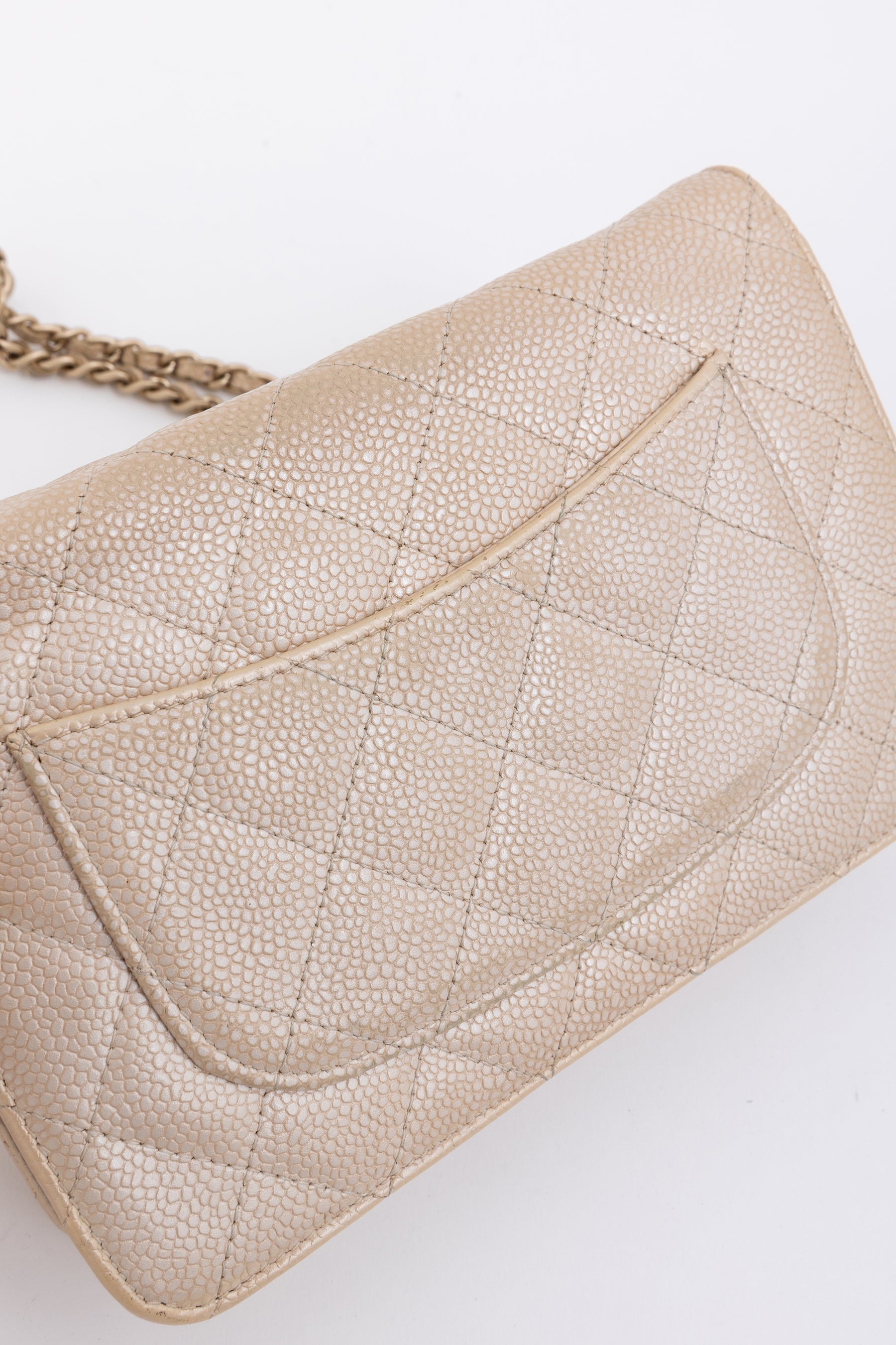 Iridescent Caviar Leather WOC