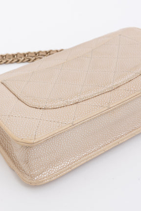 Iridescent Caviar Leather WOC