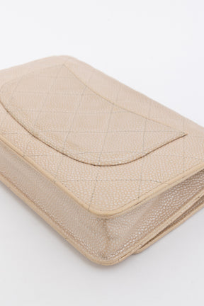 Iridescent Caviar Leather WOC