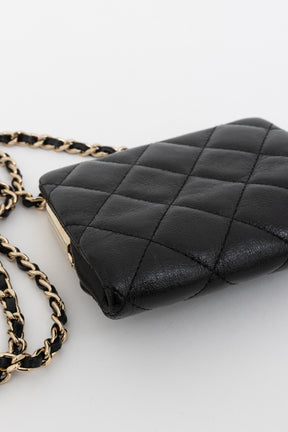 Cross Body Purse