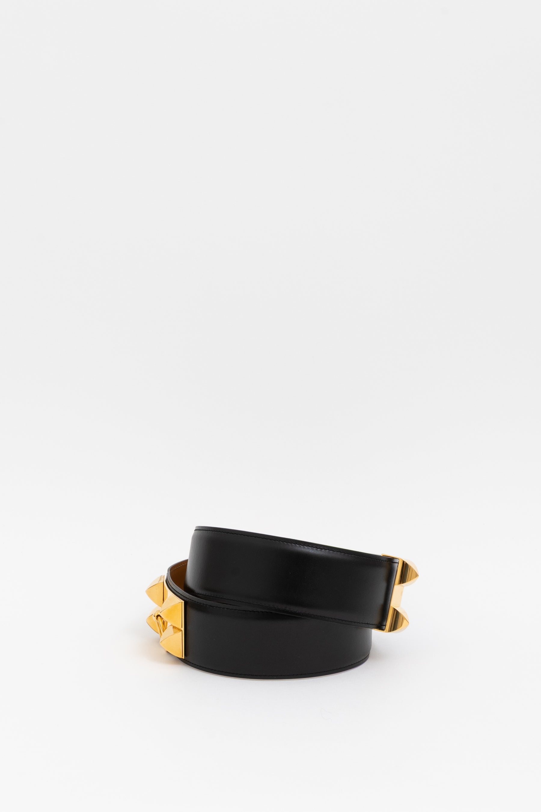 Collier de Chien 50 Belt