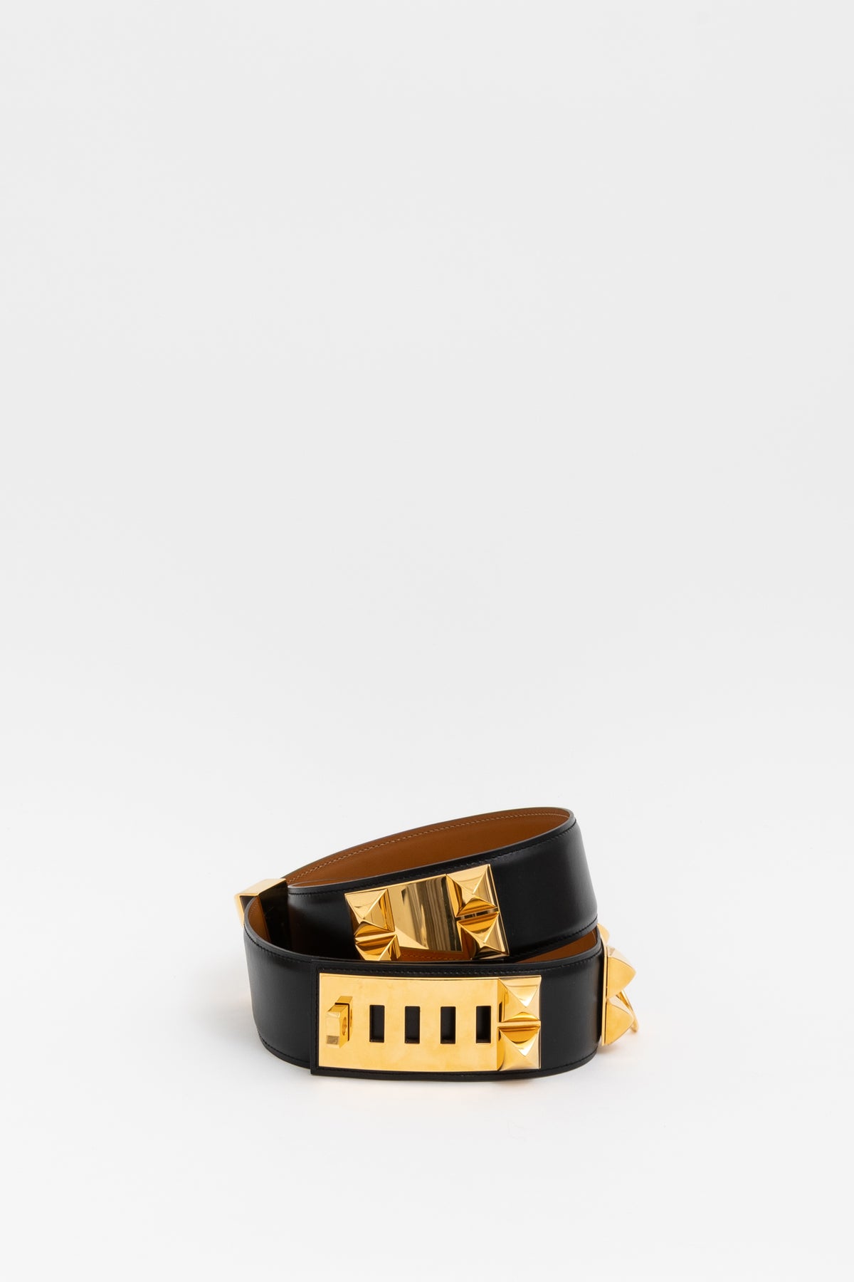 Collier de Chien 50 Belt