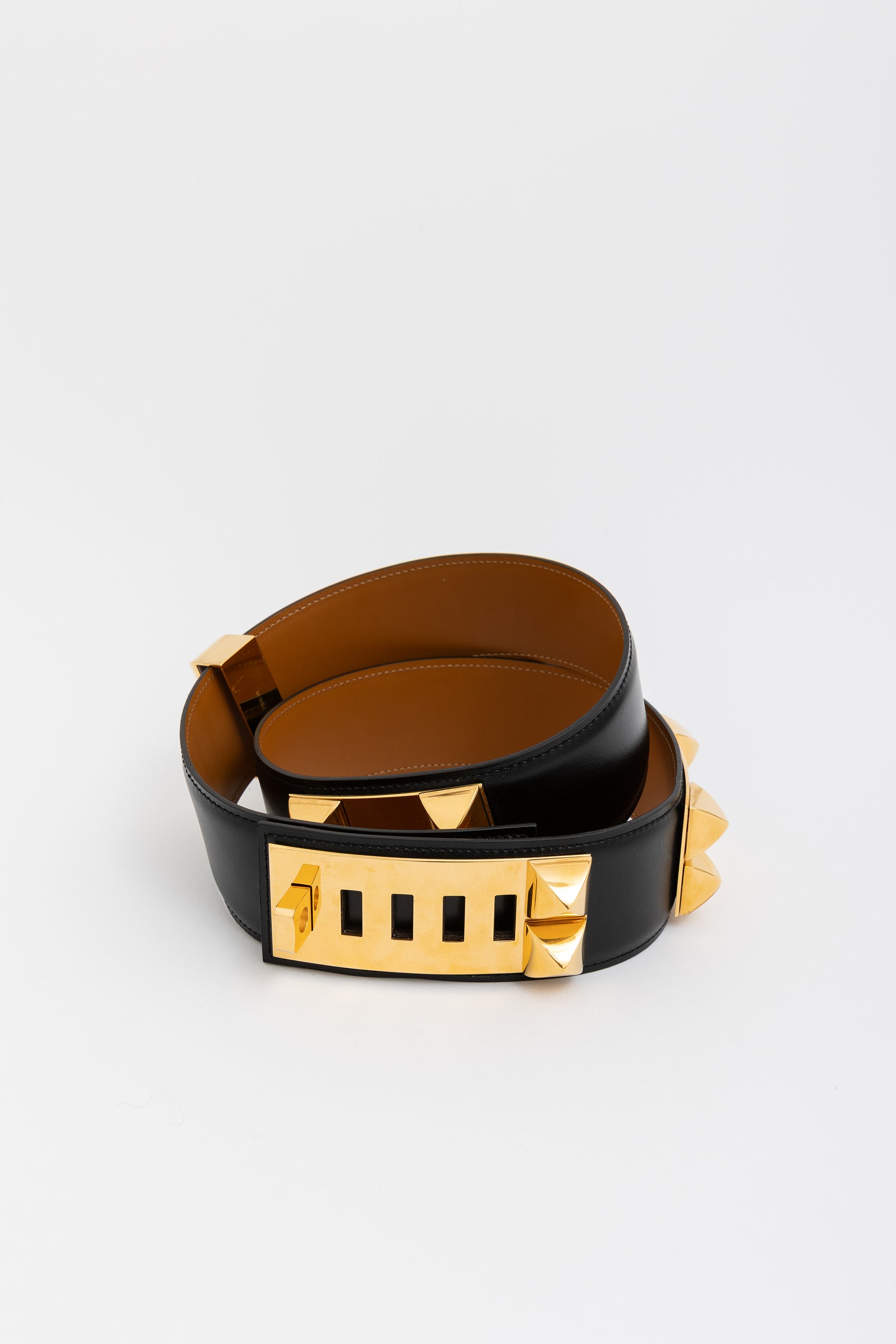 Collier de Chien 50 Belt