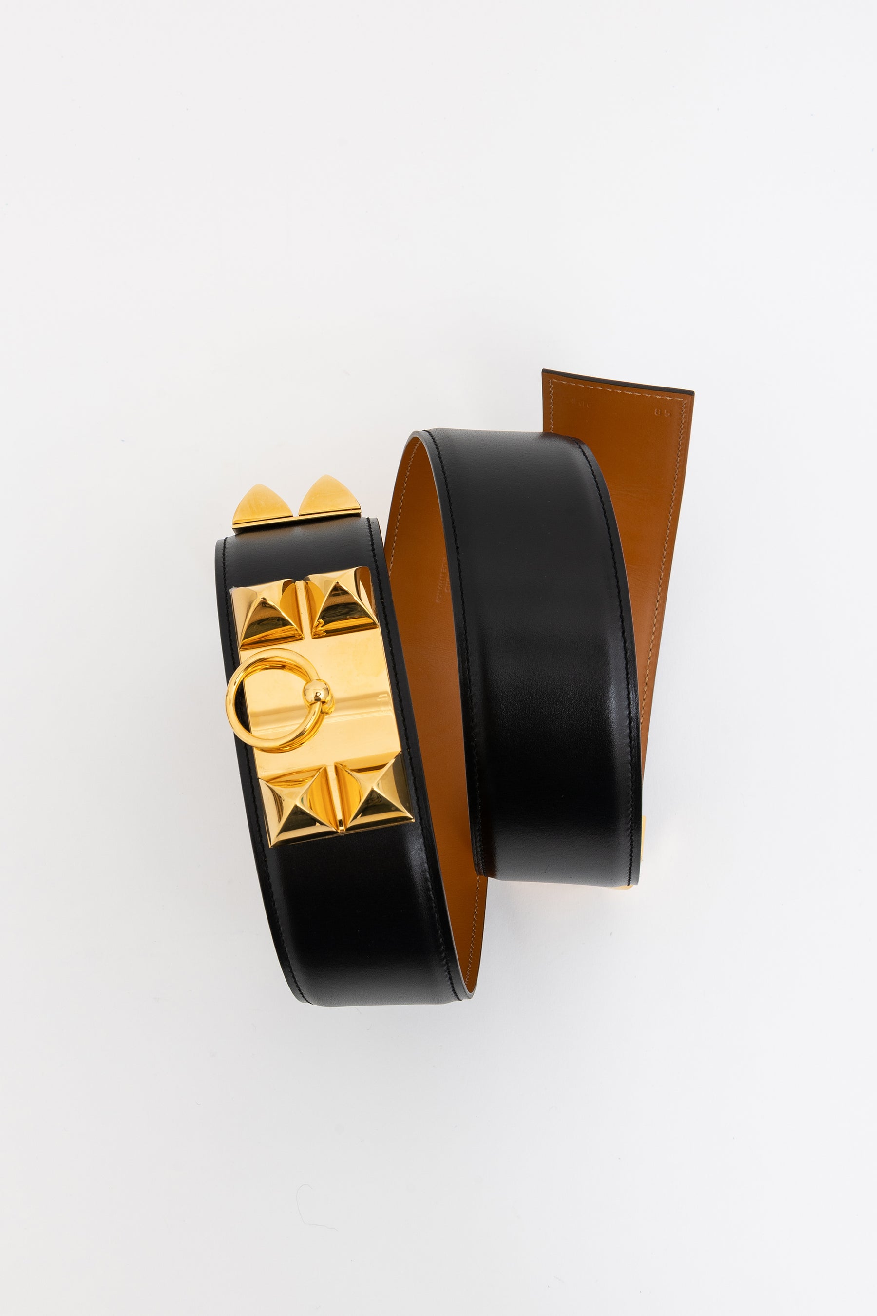 Collier de Chien 50 Belt