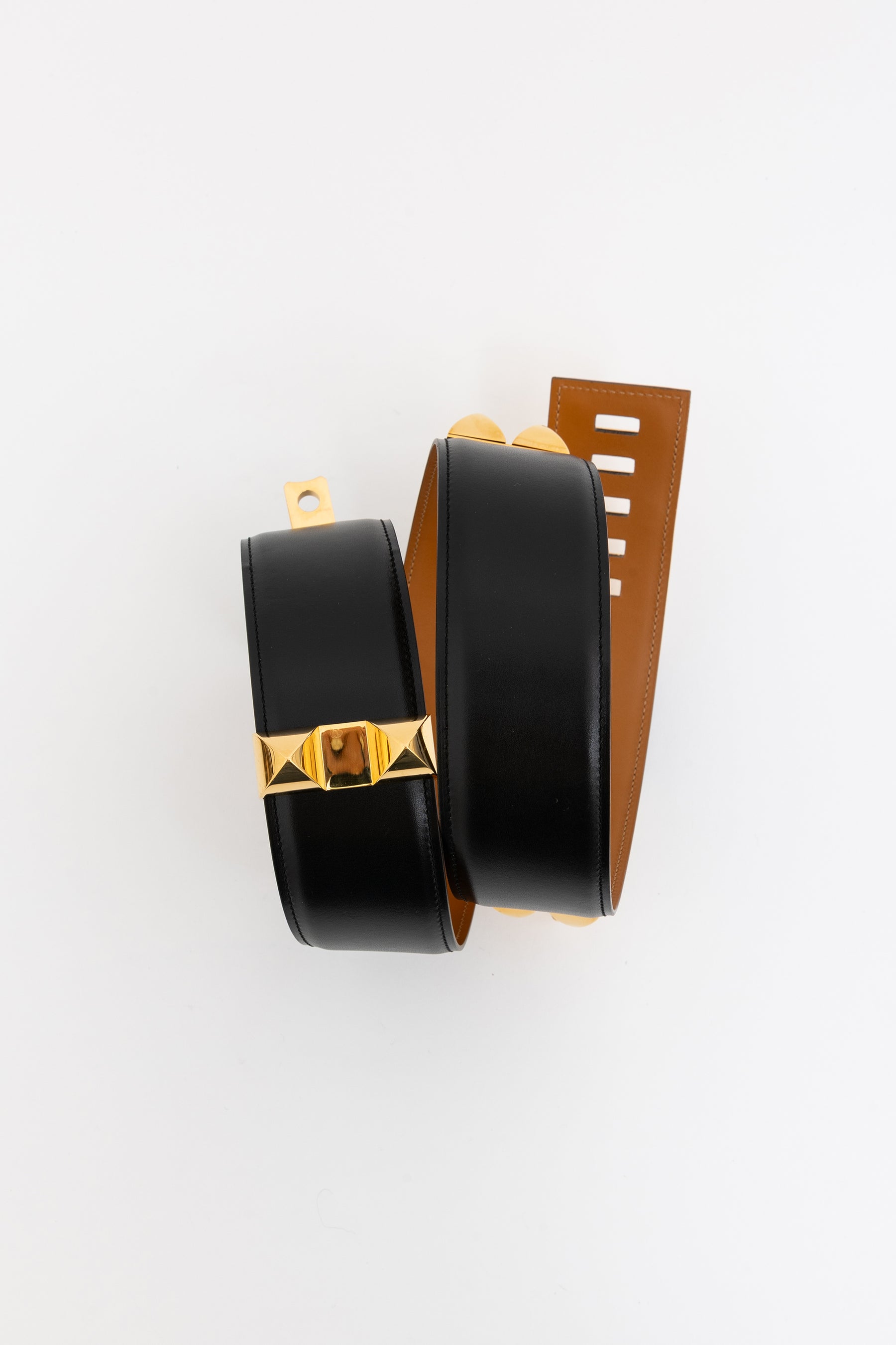 Collier de Chien 50 Belt
