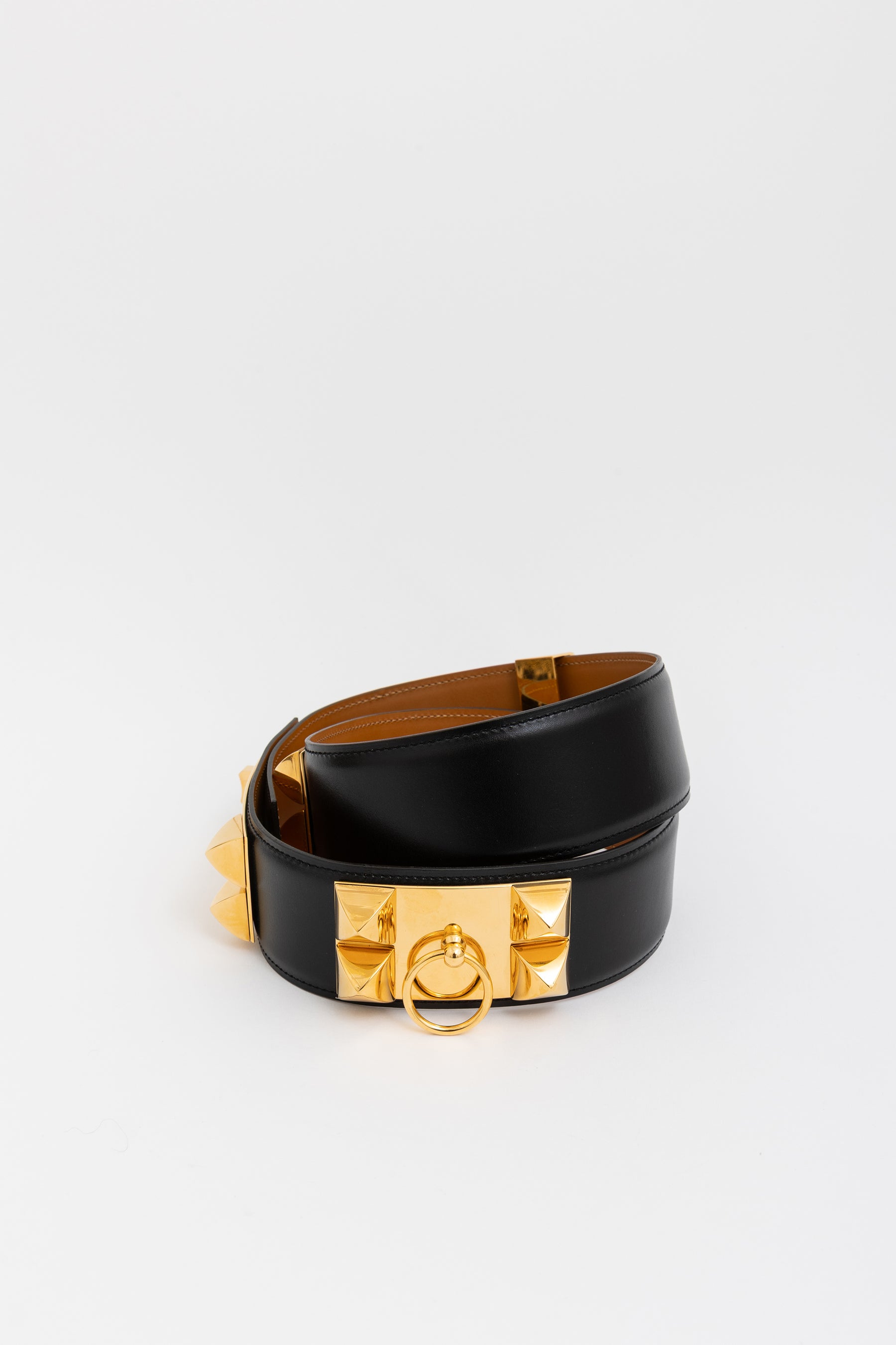 Collier de Chien 50 Belt