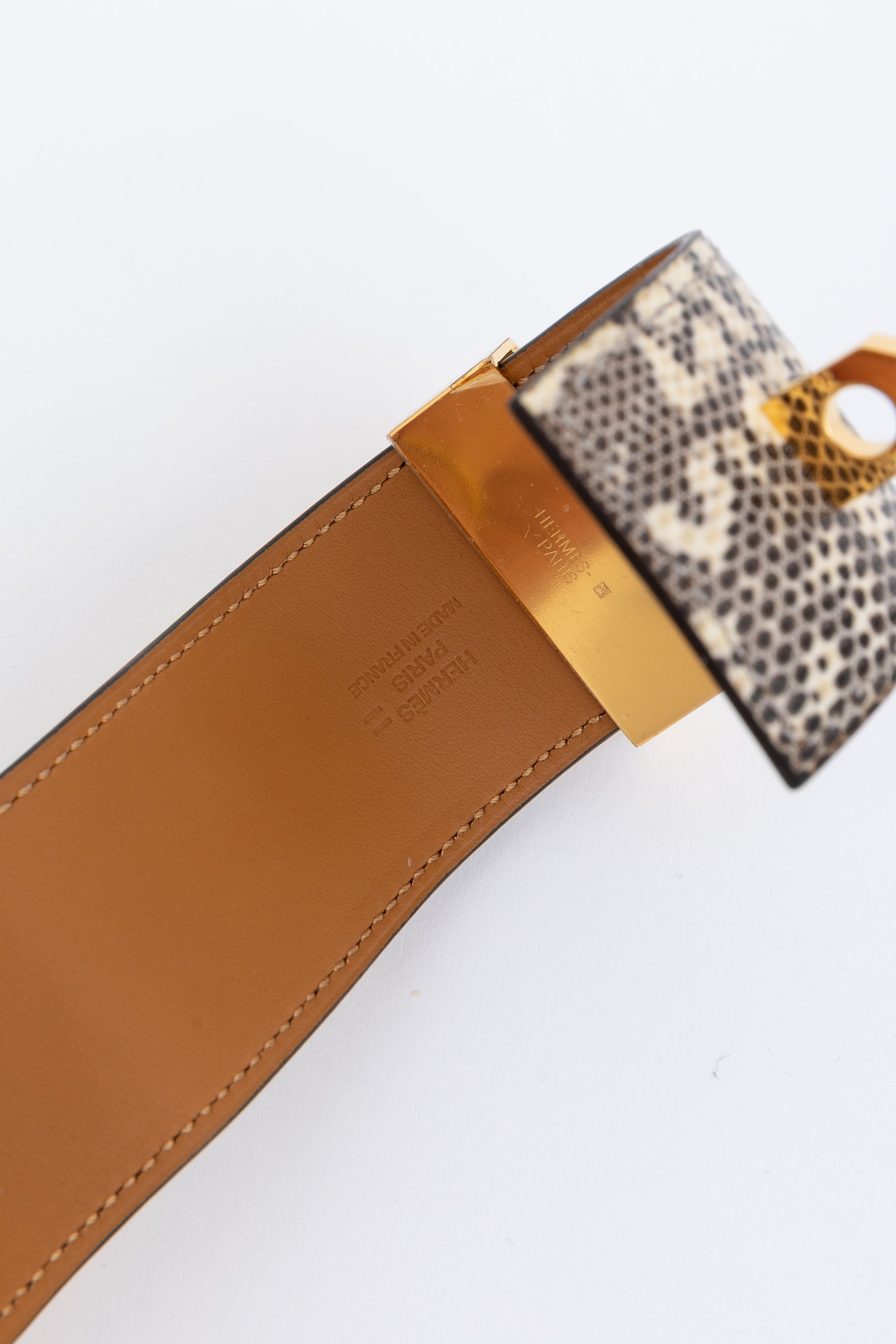 Collier de Chein Cuff