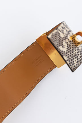 Collier de Chein Cuff