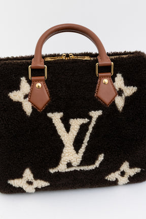 Teddy Monogram Speedy 25 Bag