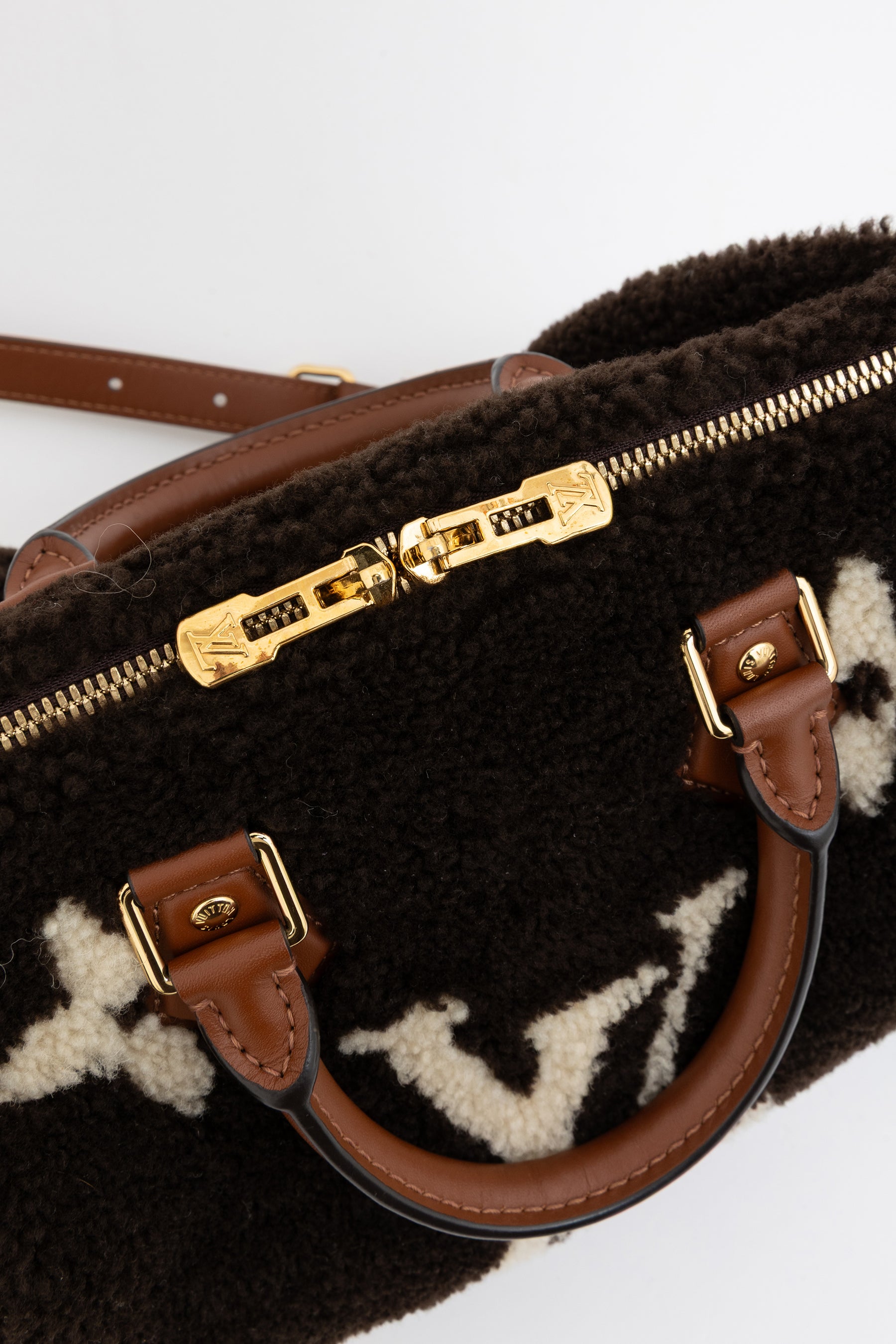 Teddy Monogram Speedy 25 Bag