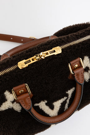 Teddy Monogram Speedy 25 Bag