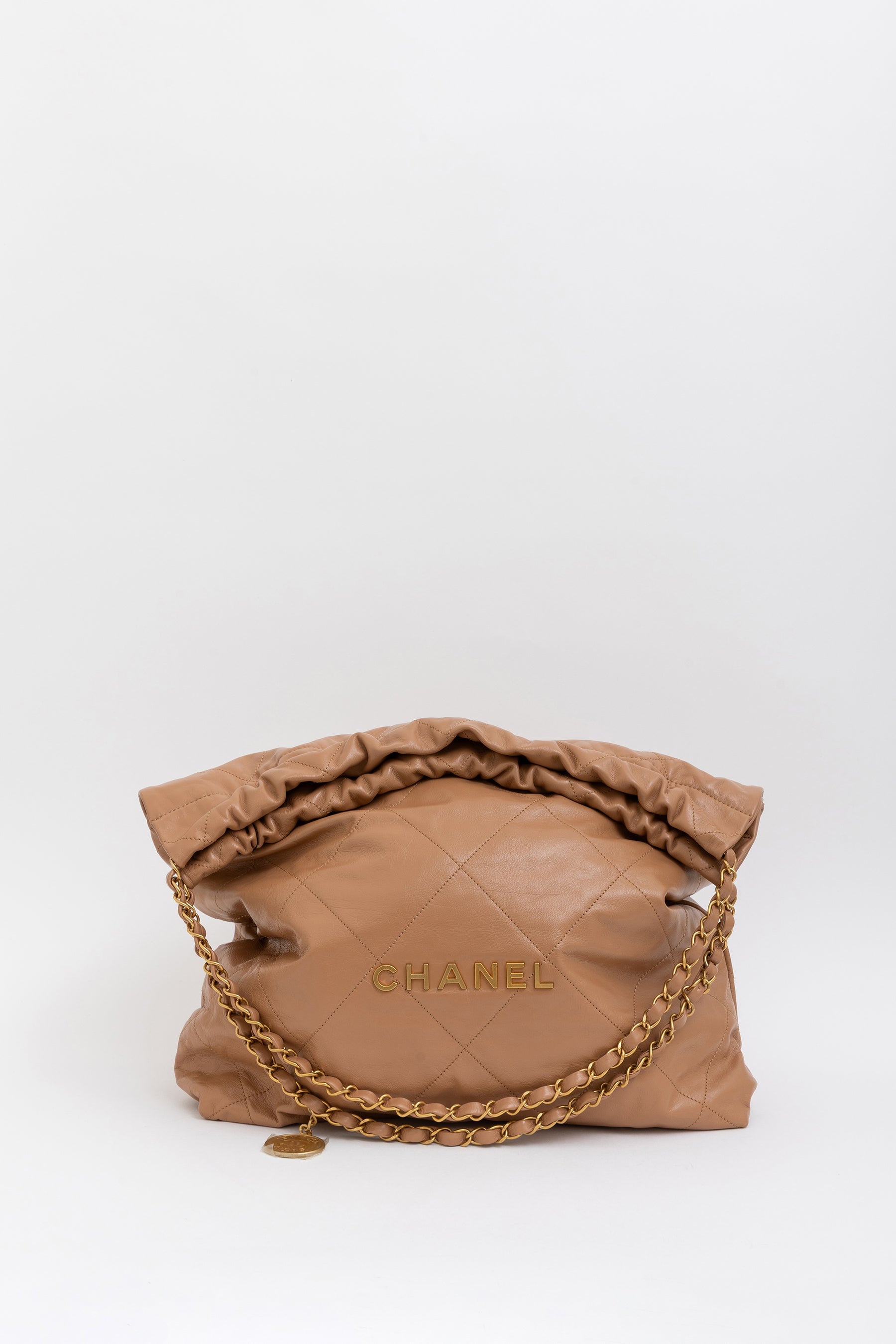 Medium 22 Hobo Bag