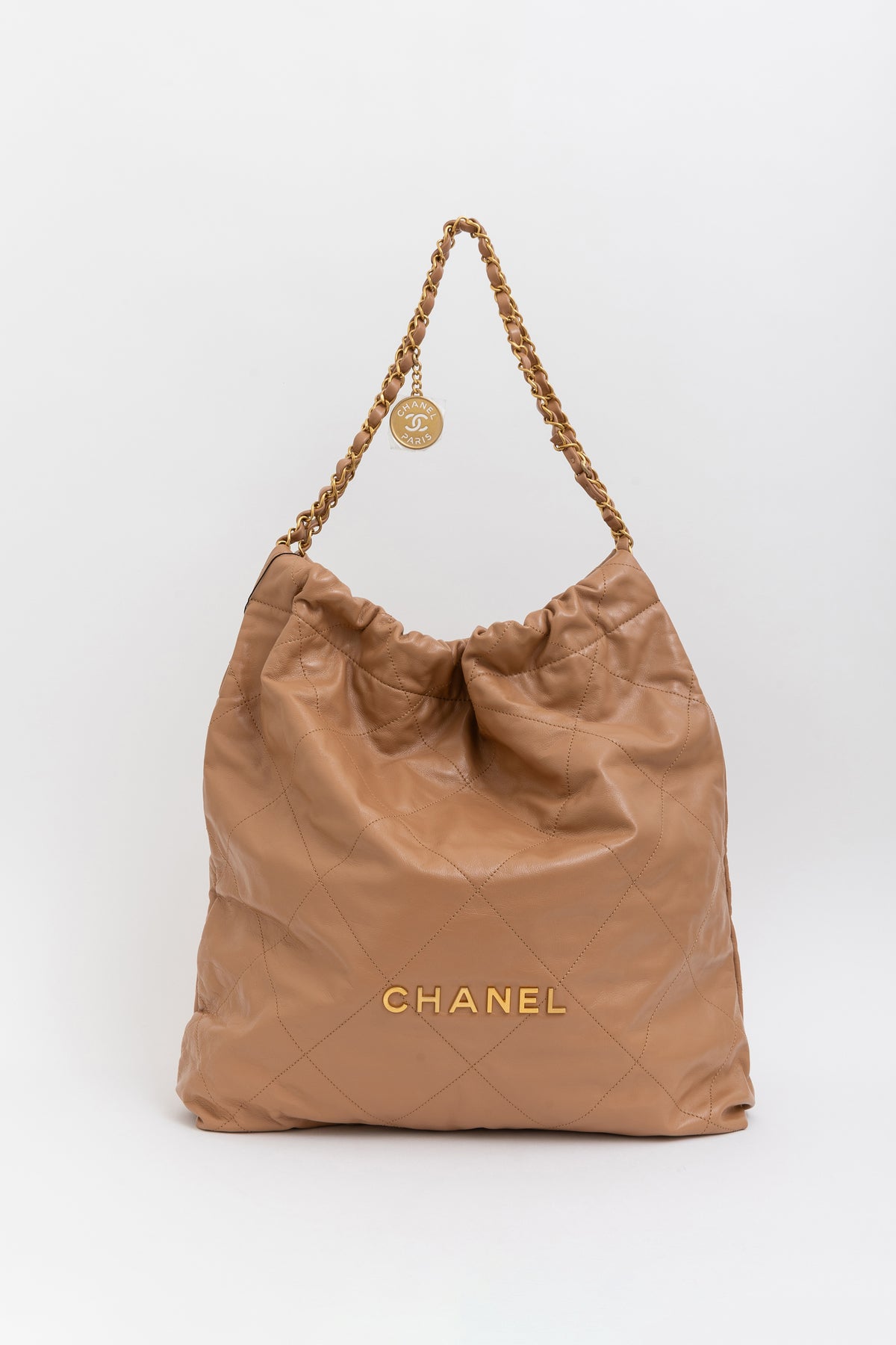 Medium 22 Hobo Bag