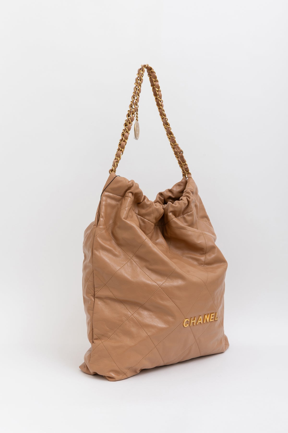 Medium 22 Hobo Bag