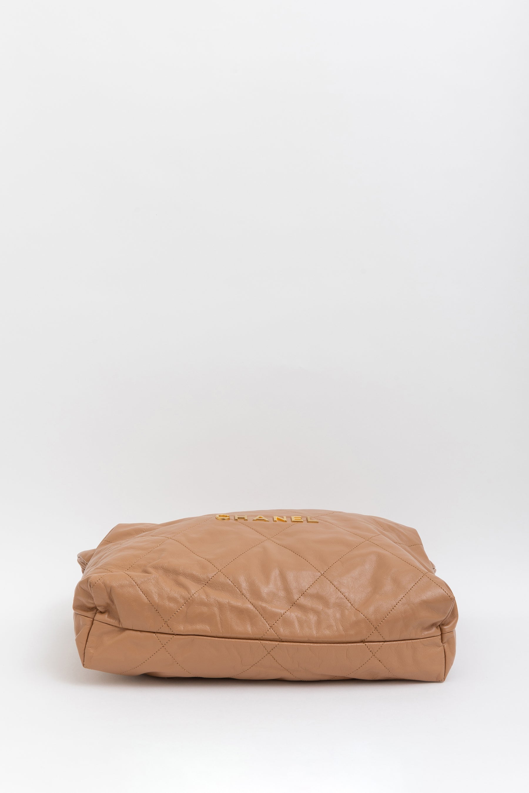 Medium 22 Hobo Bag