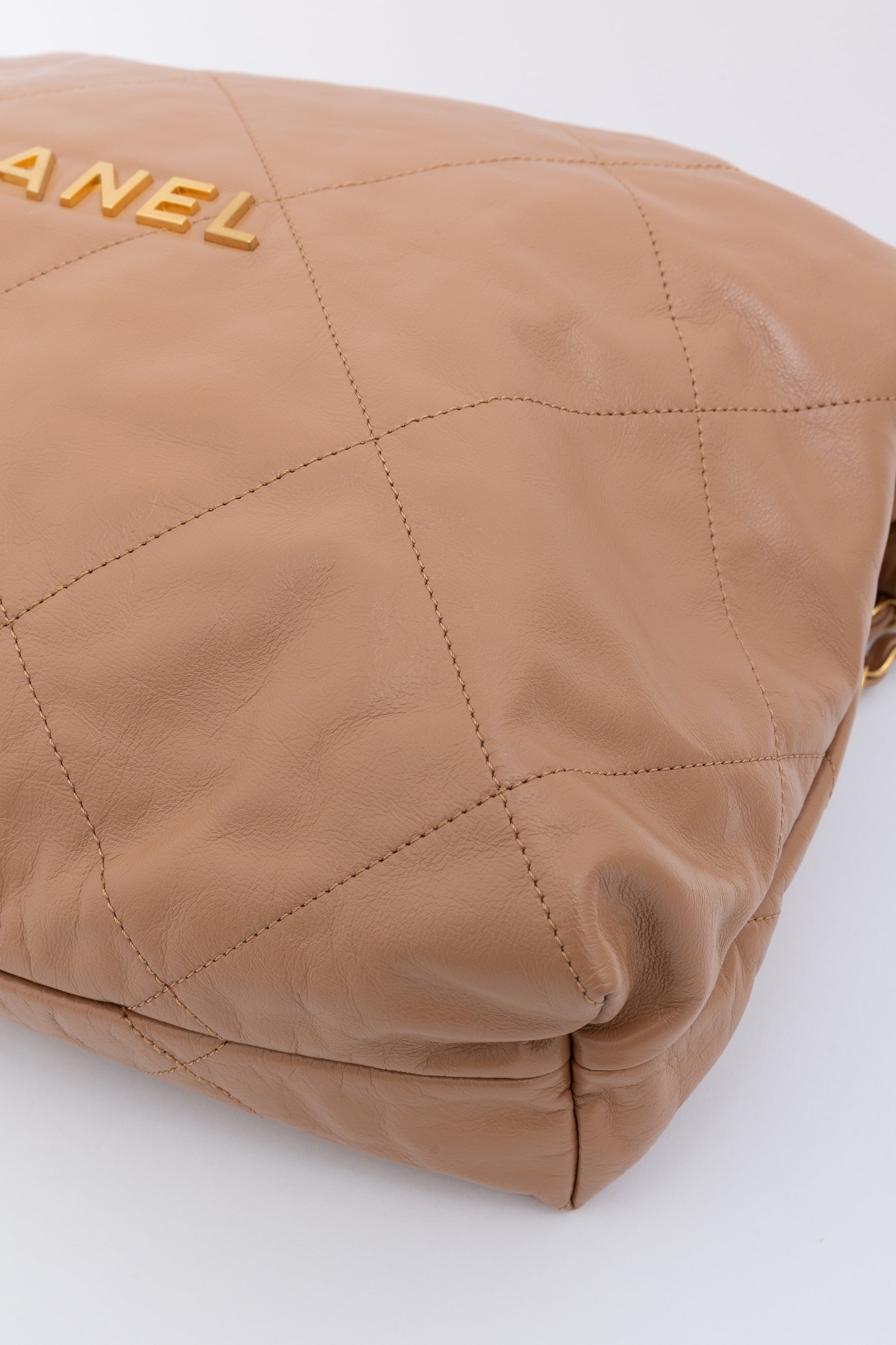 Medium 22 Hobo Bag