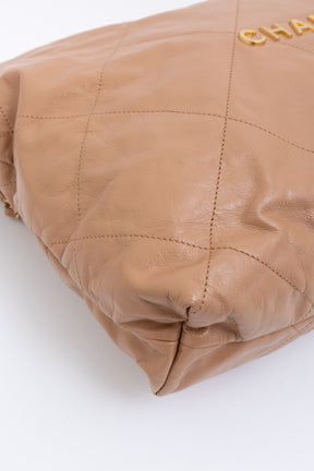 Medium 22 Hobo Bag