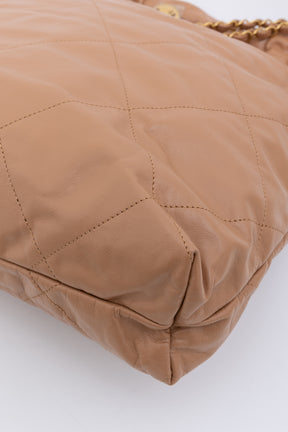 Medium 22 Hobo Bag