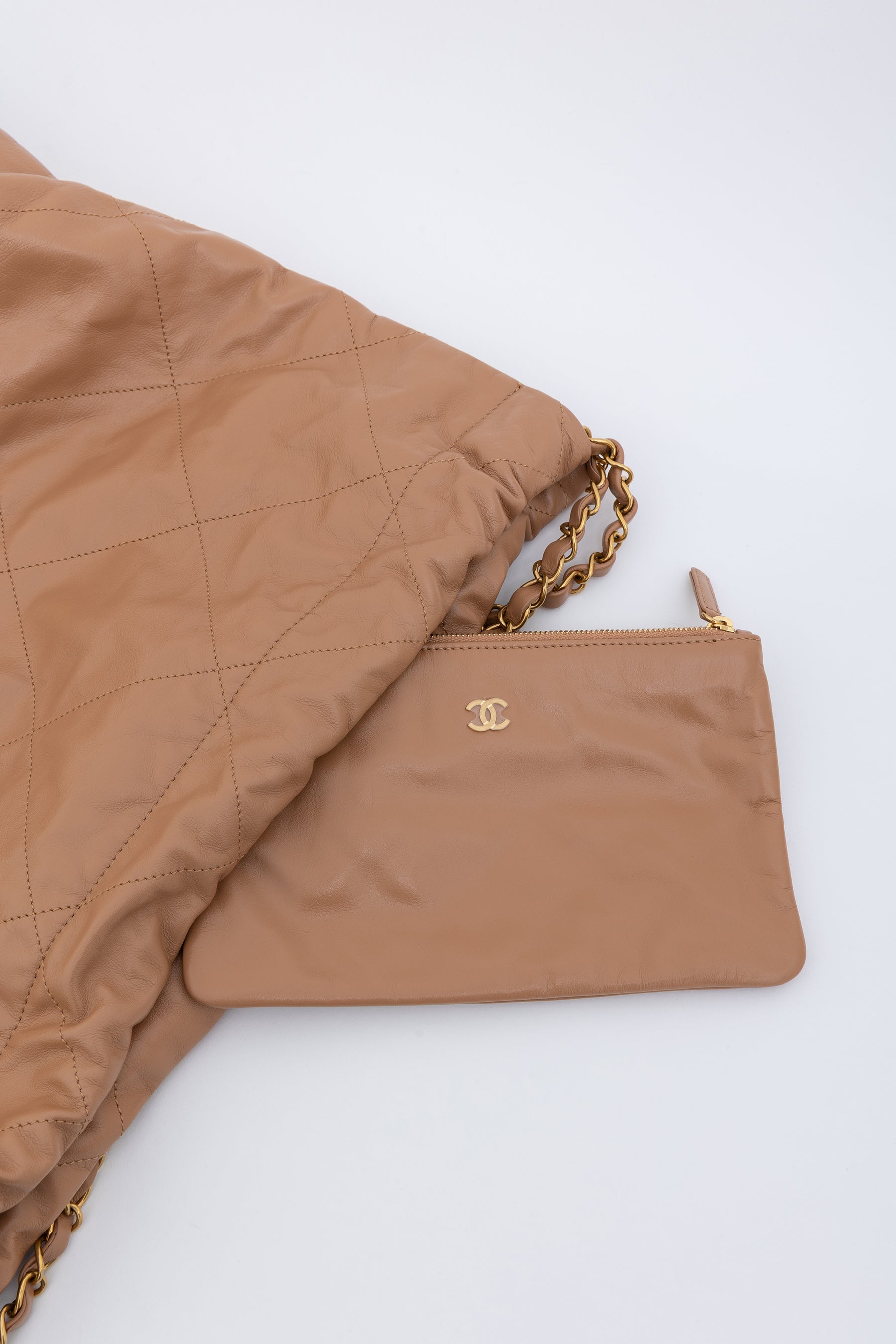 Medium 22 Hobo Bag