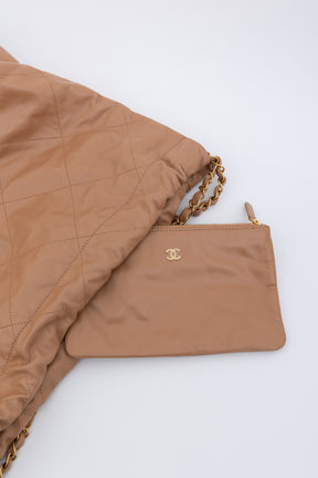 Medium 22 Hobo Bag
