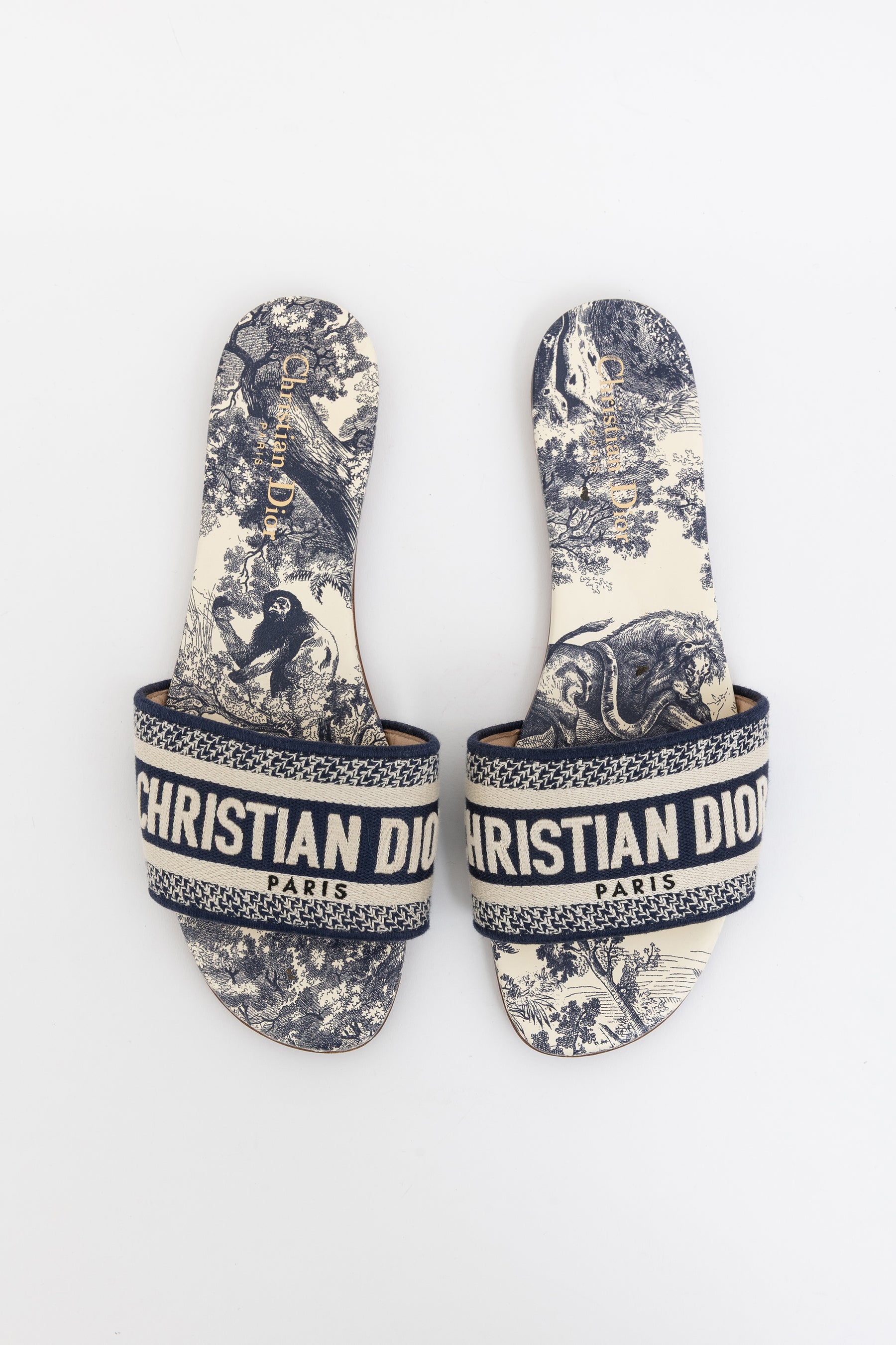Dway Slides