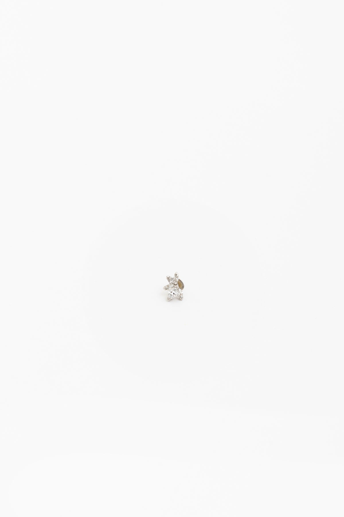 Platinum Waratah Cartilage Earring
