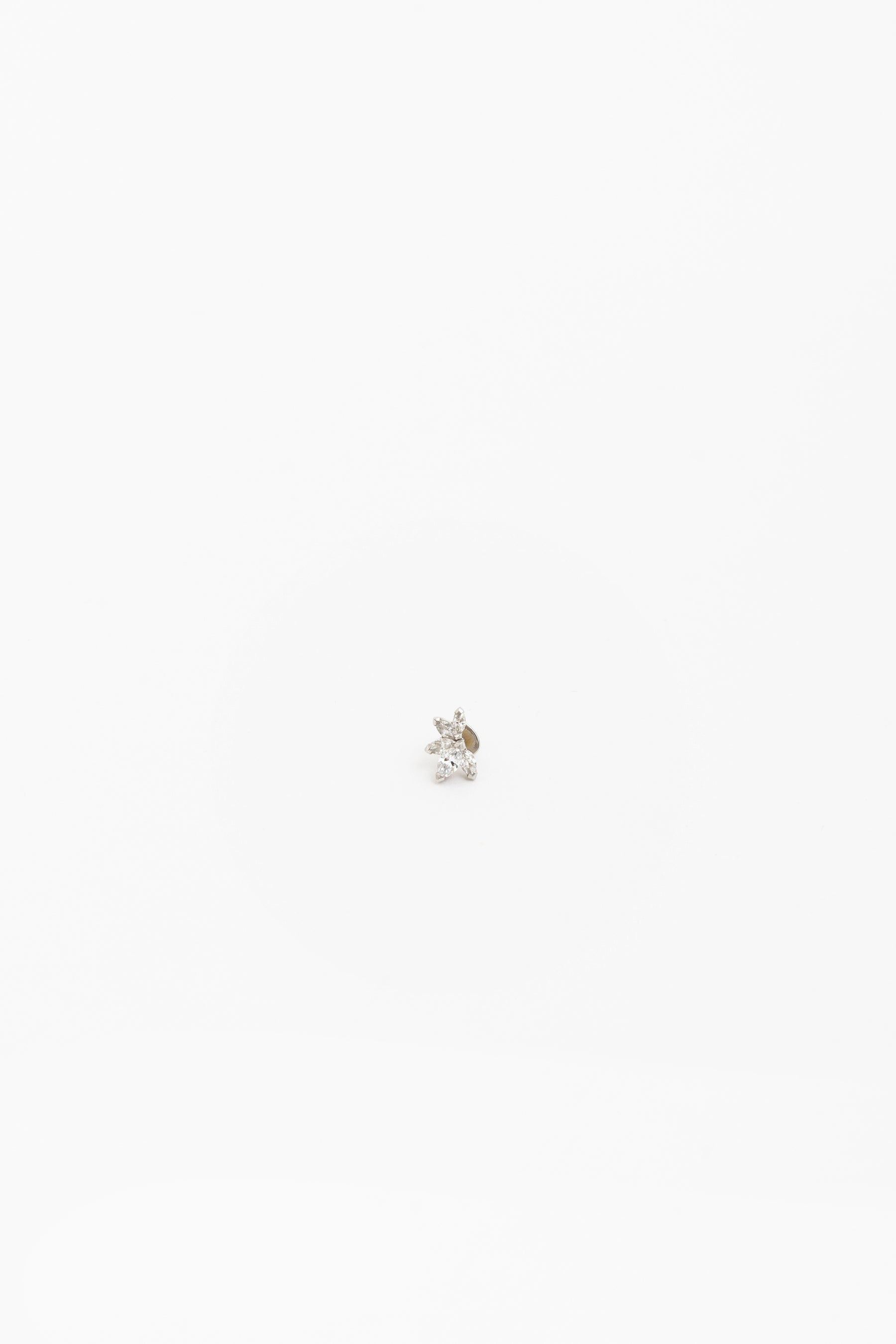 Platinum Waratah Cartilage Earring