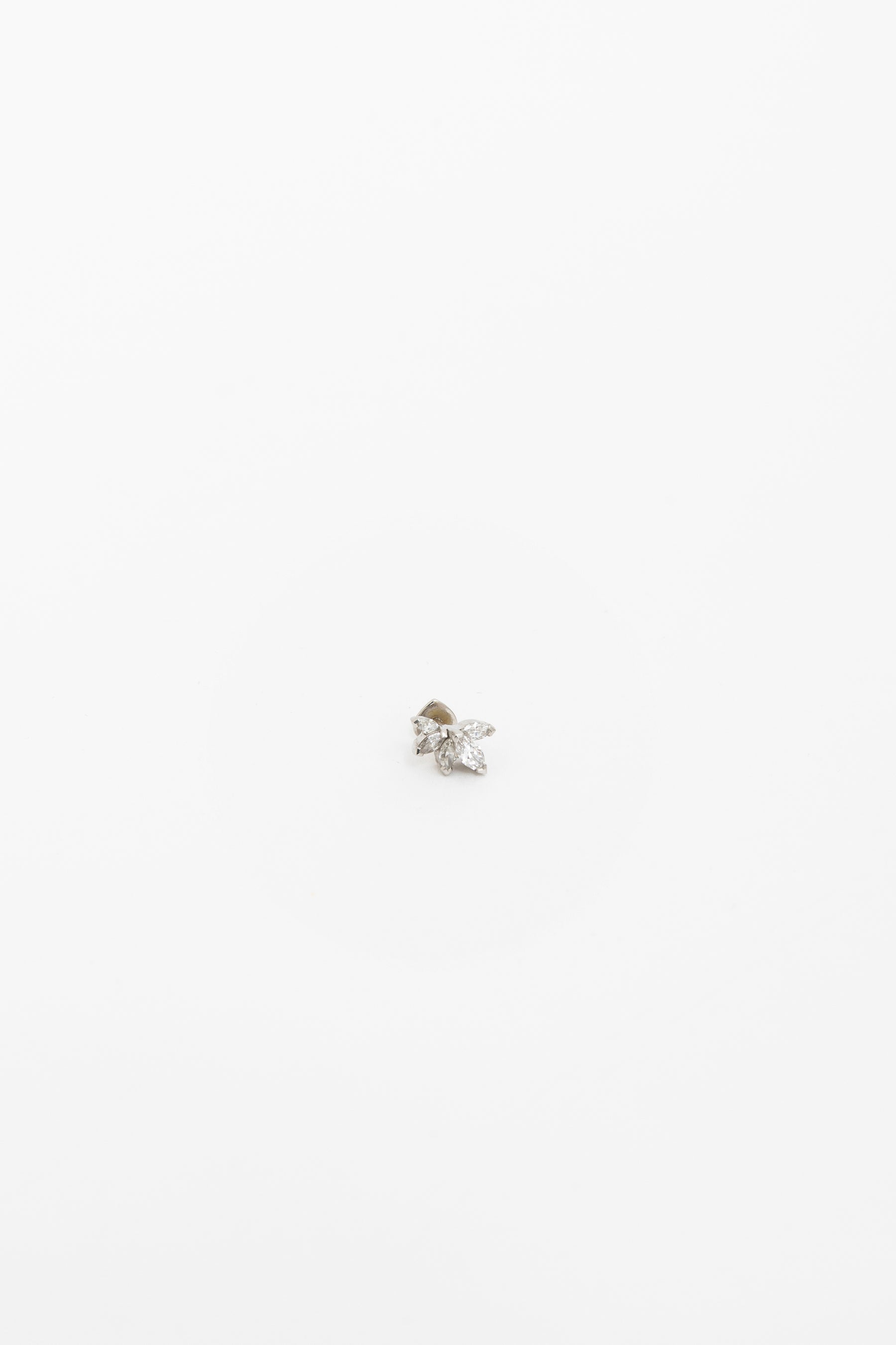 Platinum Waratah Cartilage Earring