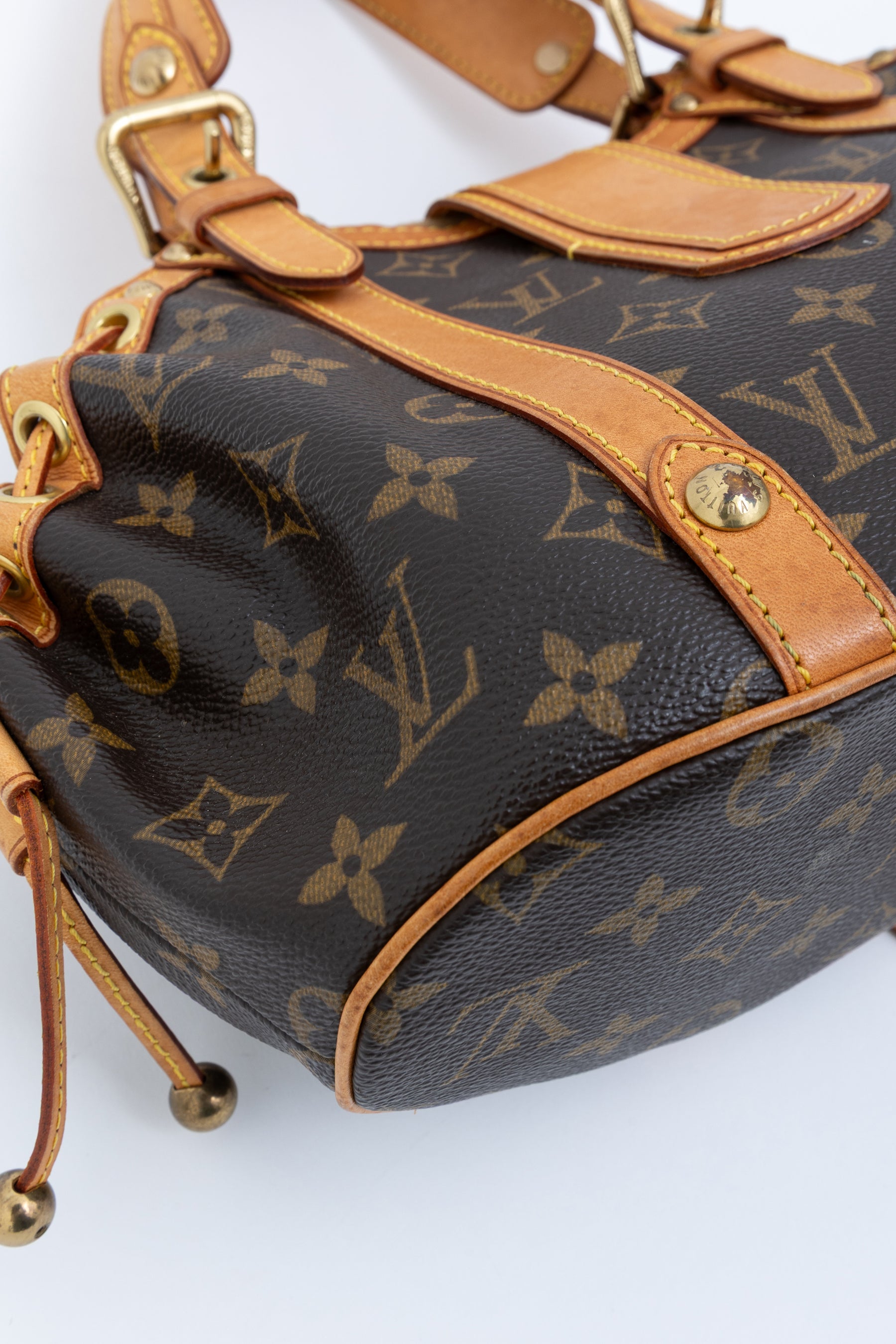 Louis Vuitton Theda GM Bag