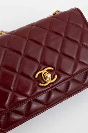 Adjustable Wallet on Chain