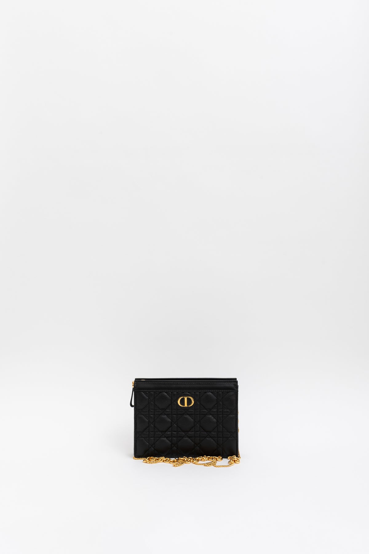Caro Every Dior Pouch