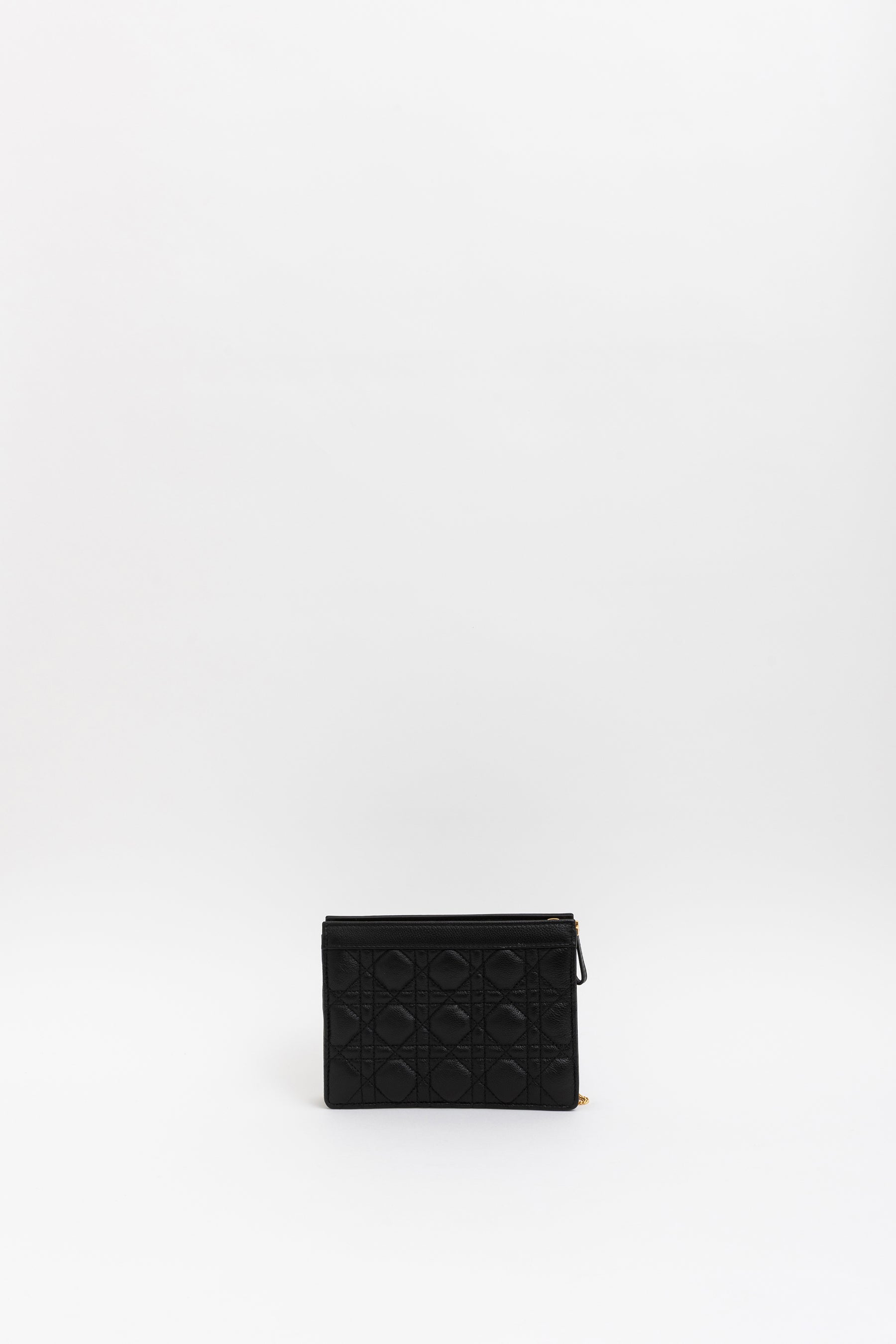 Caro Every Dior Pouch