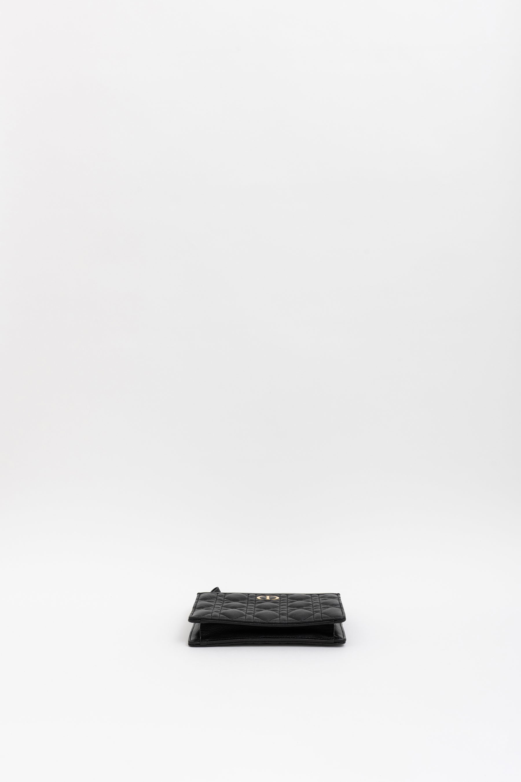 Caro Every Dior Pouch