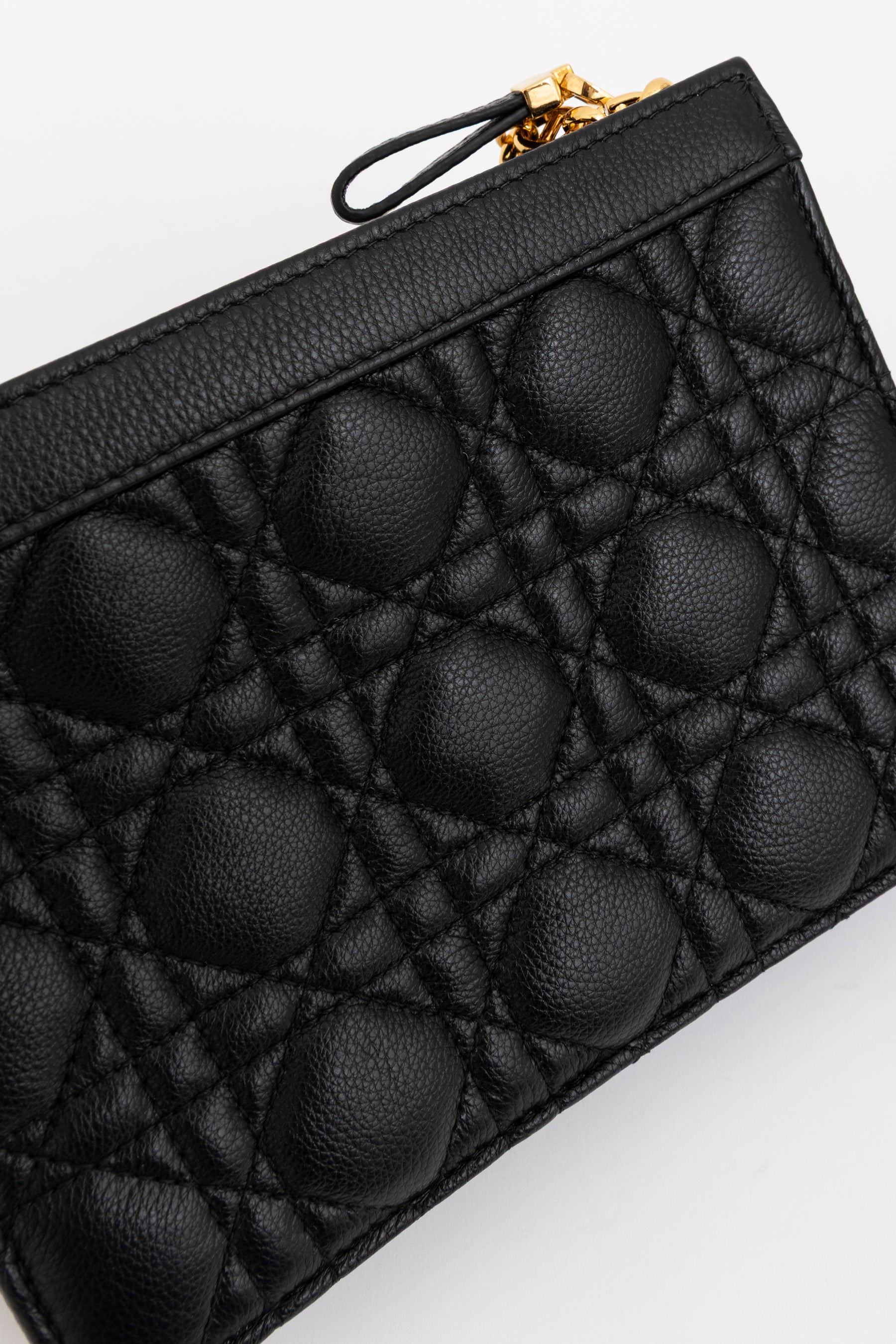 Caro Every Dior Pouch